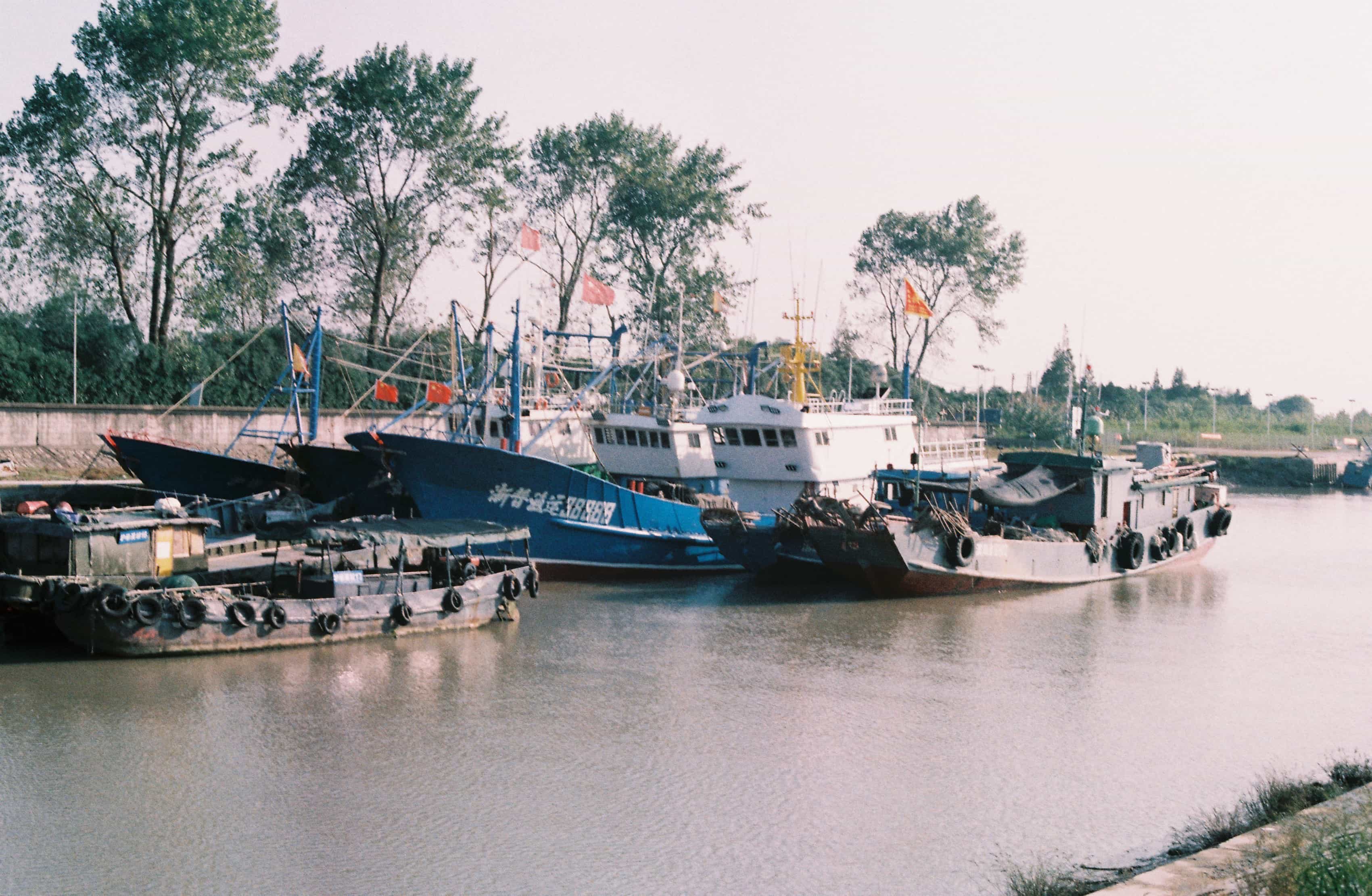 2019-2020 Kodak colorplus 200 (1).jpg