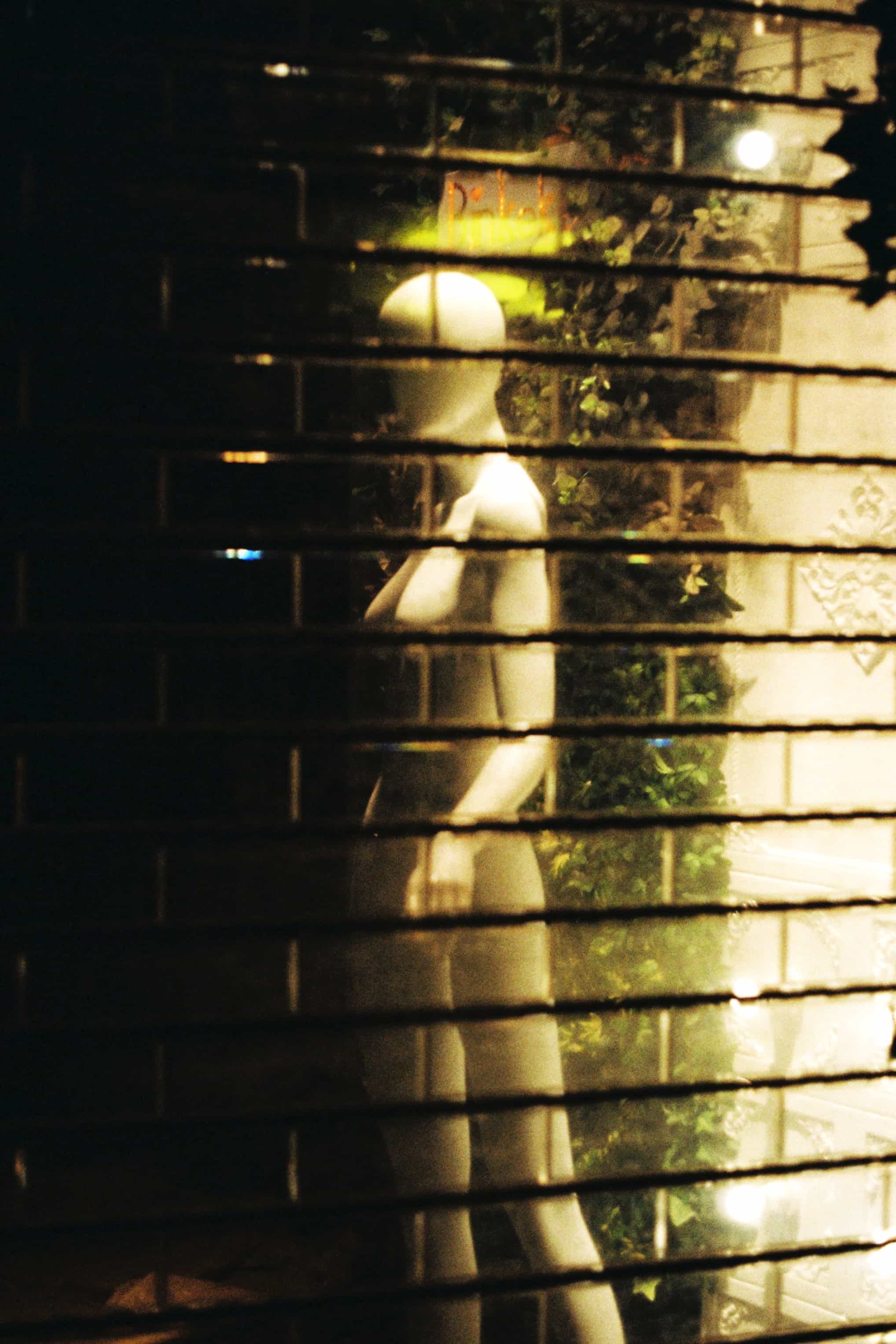 2019-2020 Kodak colorplus 200 (6).jpg