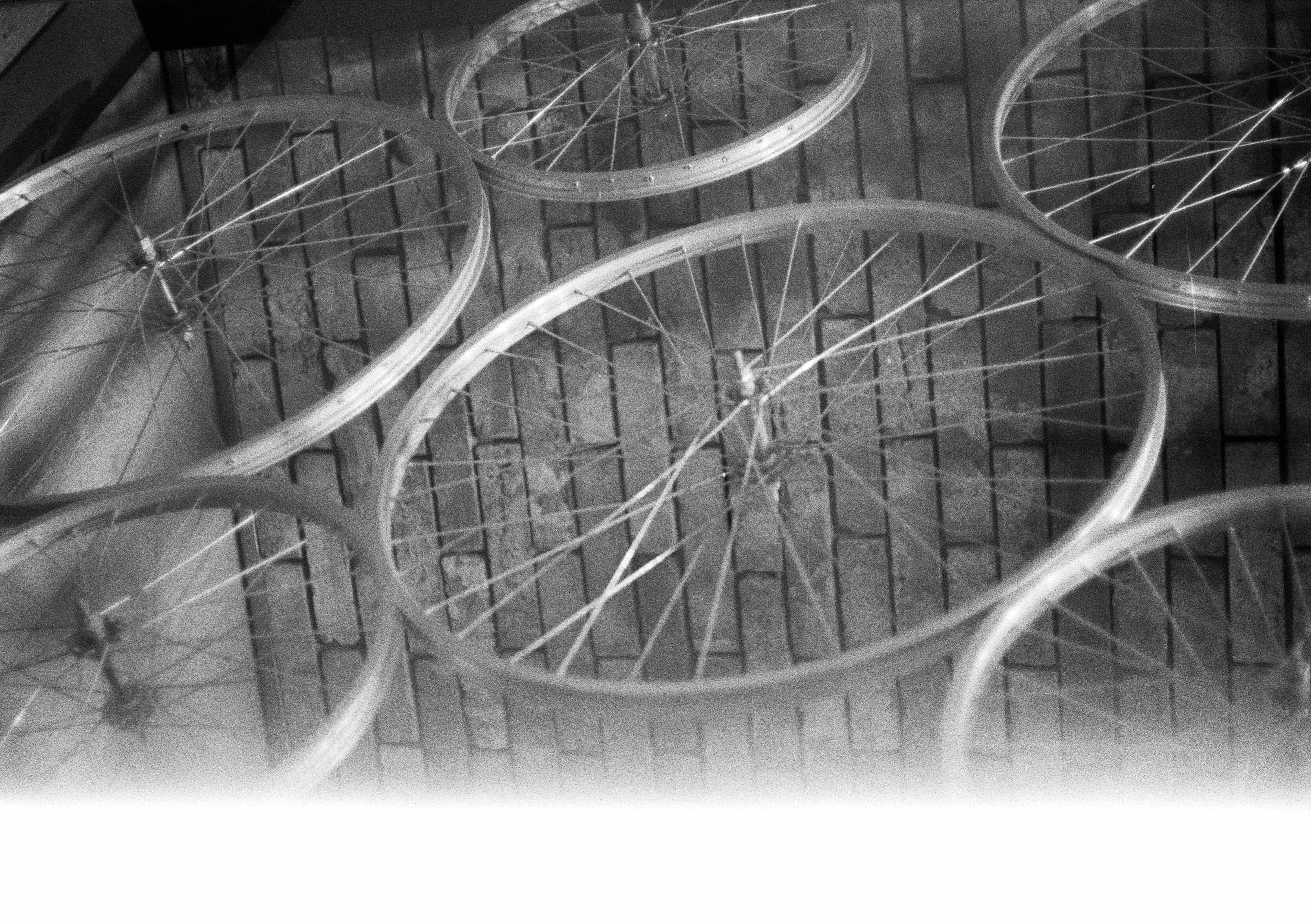 2024-04 Ilford PAN 40 (1).jpg