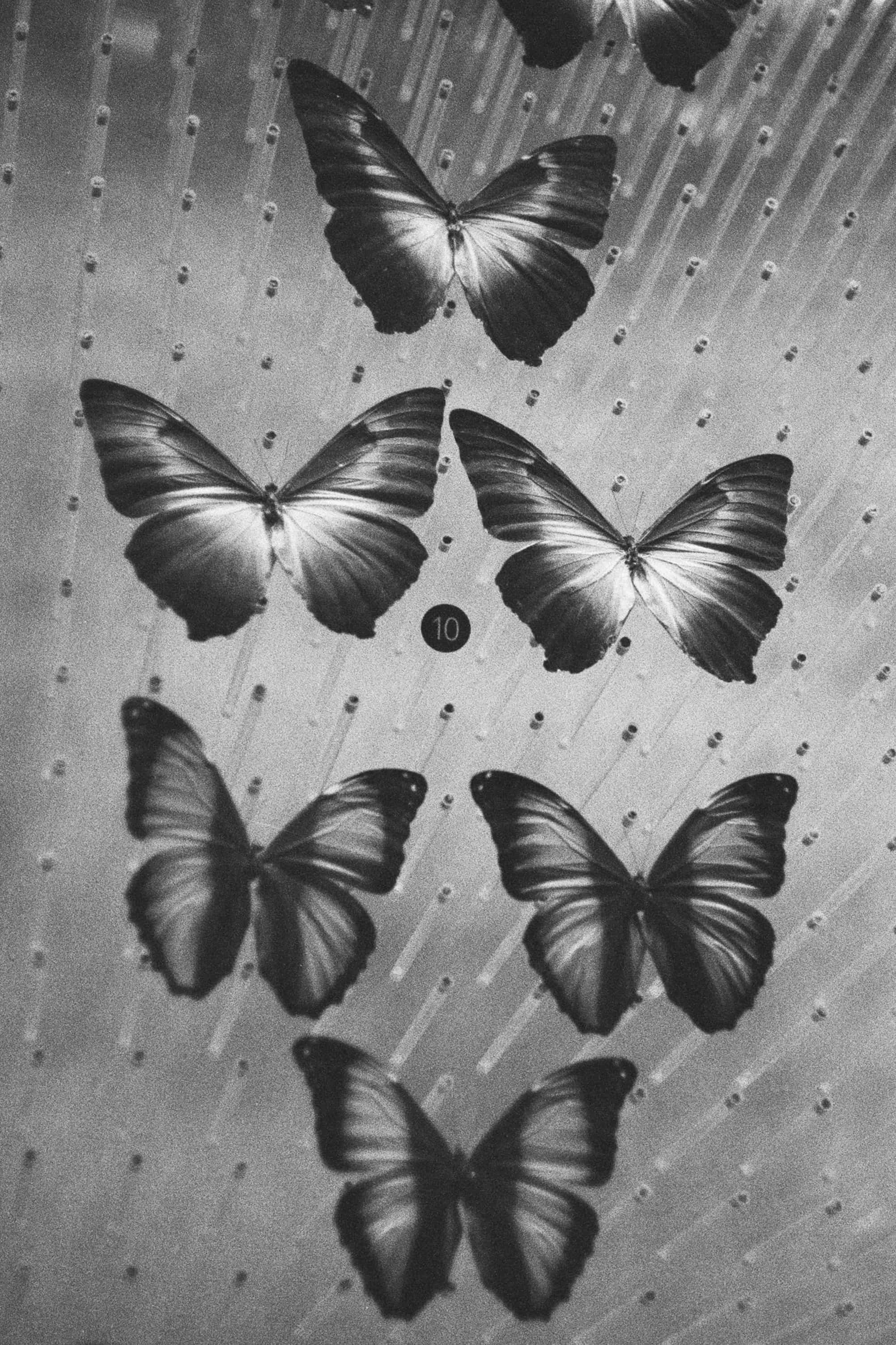 2024-04 Ilford PAN 40 (5).jpg