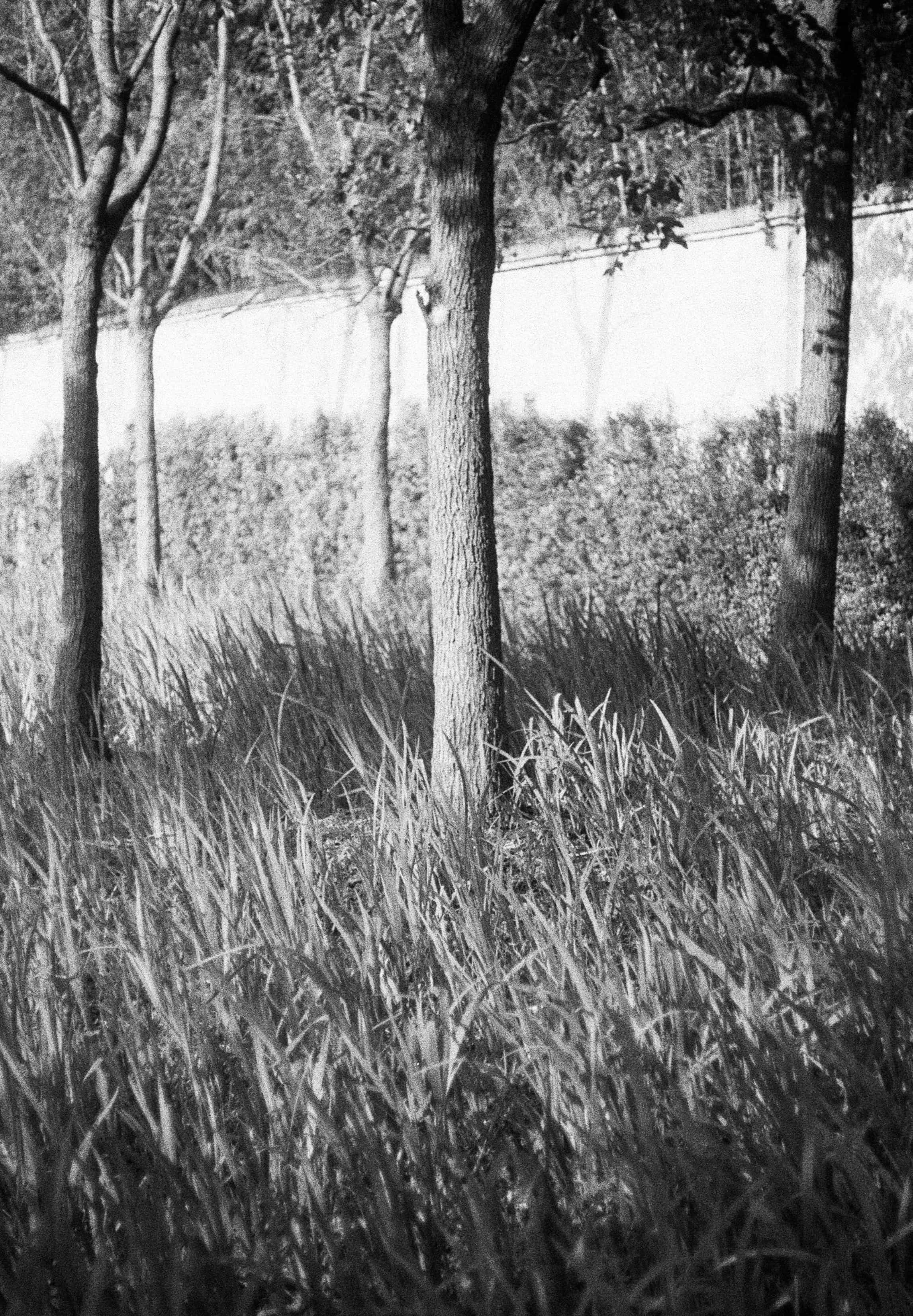 2024-04 Ilford PAN 40 (9).jpg