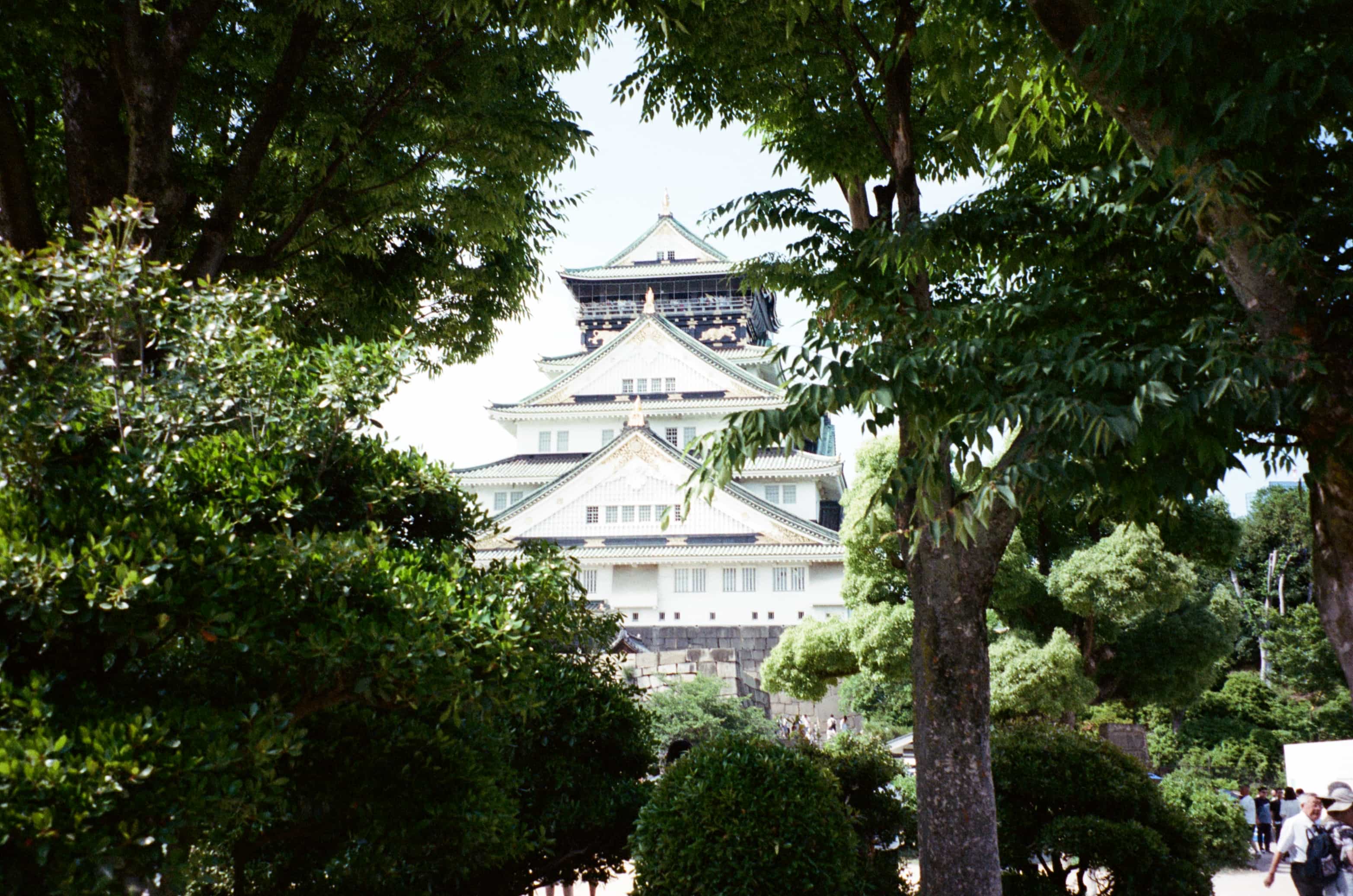 2024-05 Portra400 (3).jpg