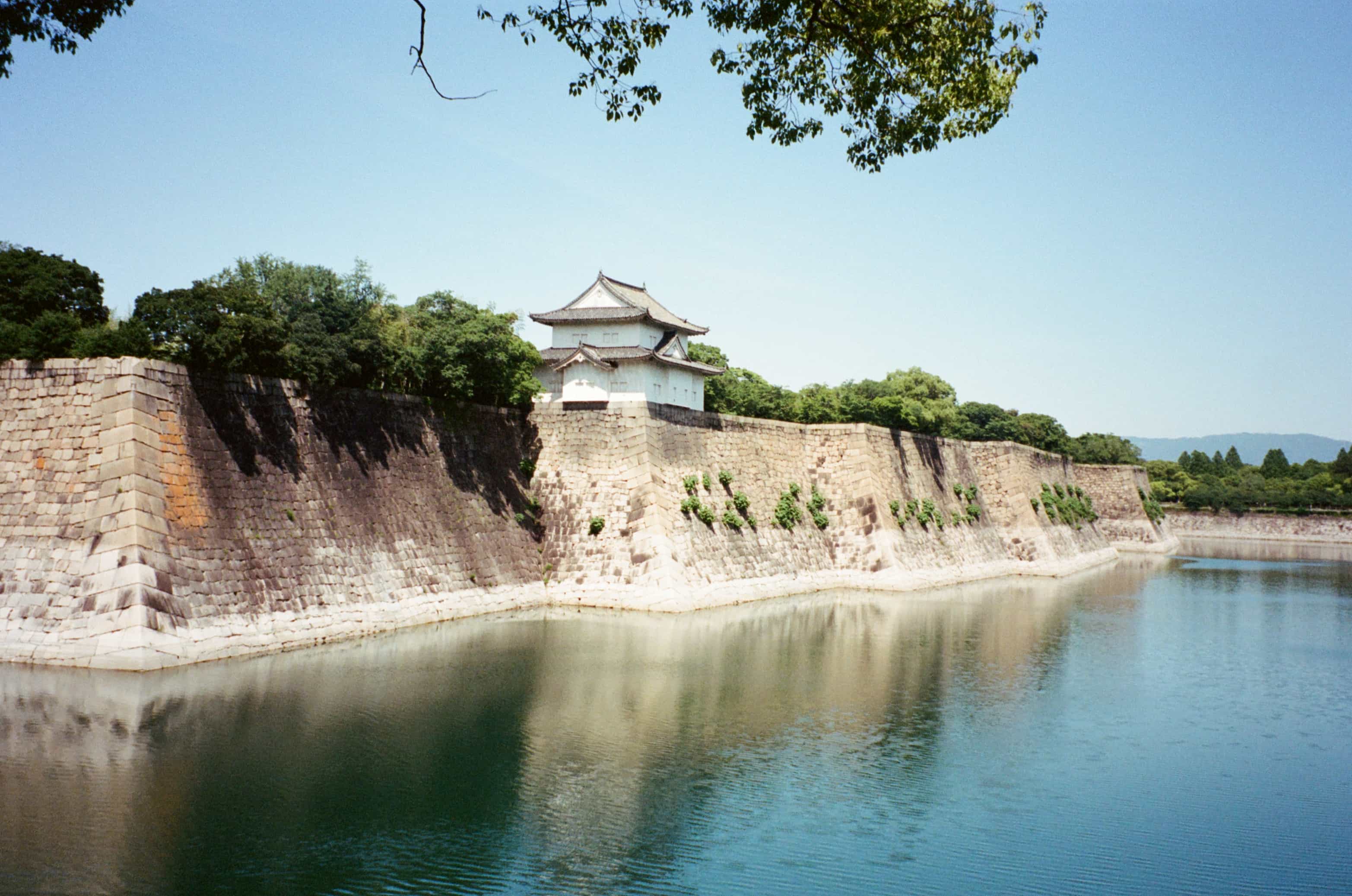 2024-05 Portra400 (4).jpg