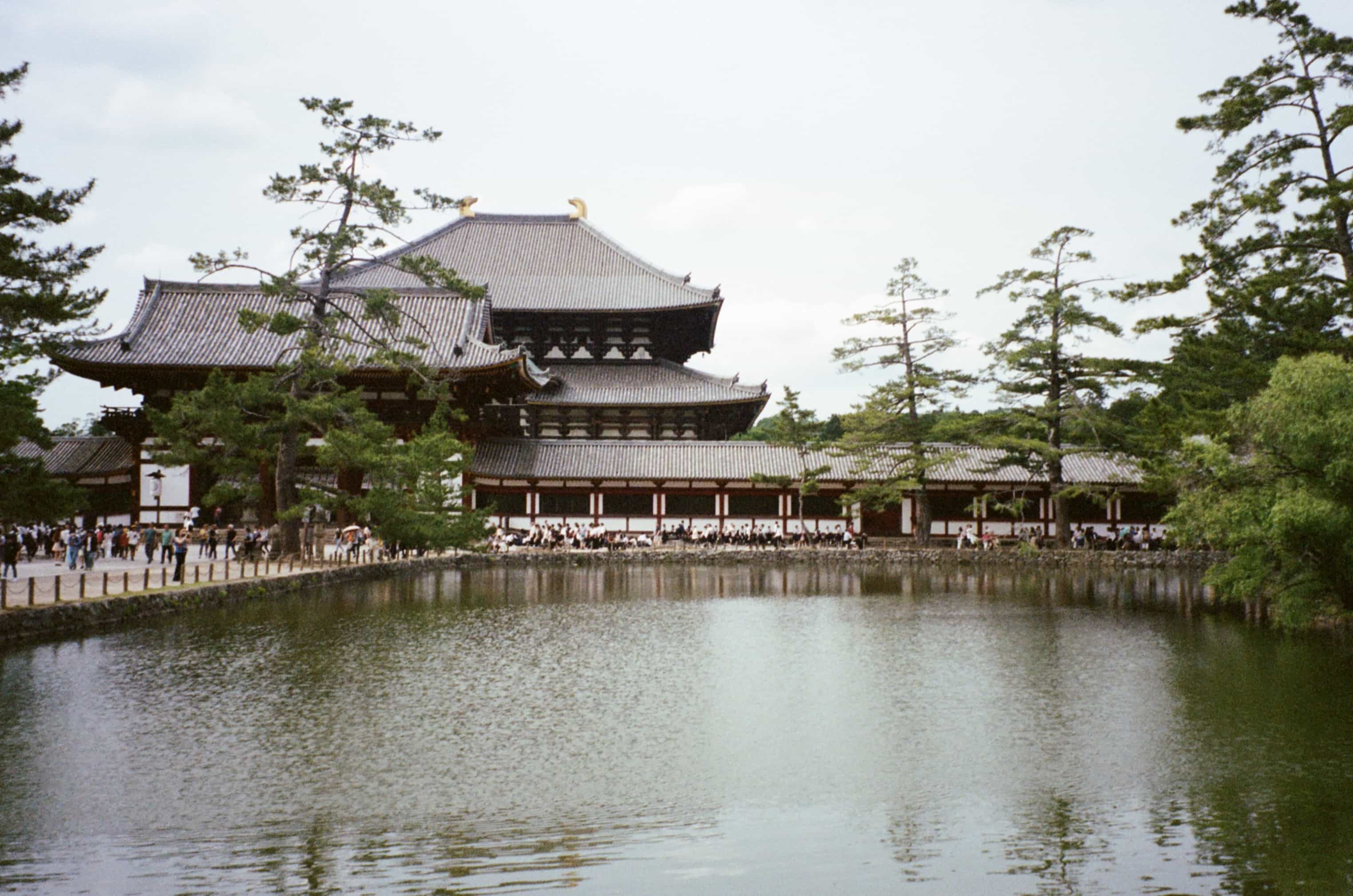 2024-05 Portra400 (6).jpg