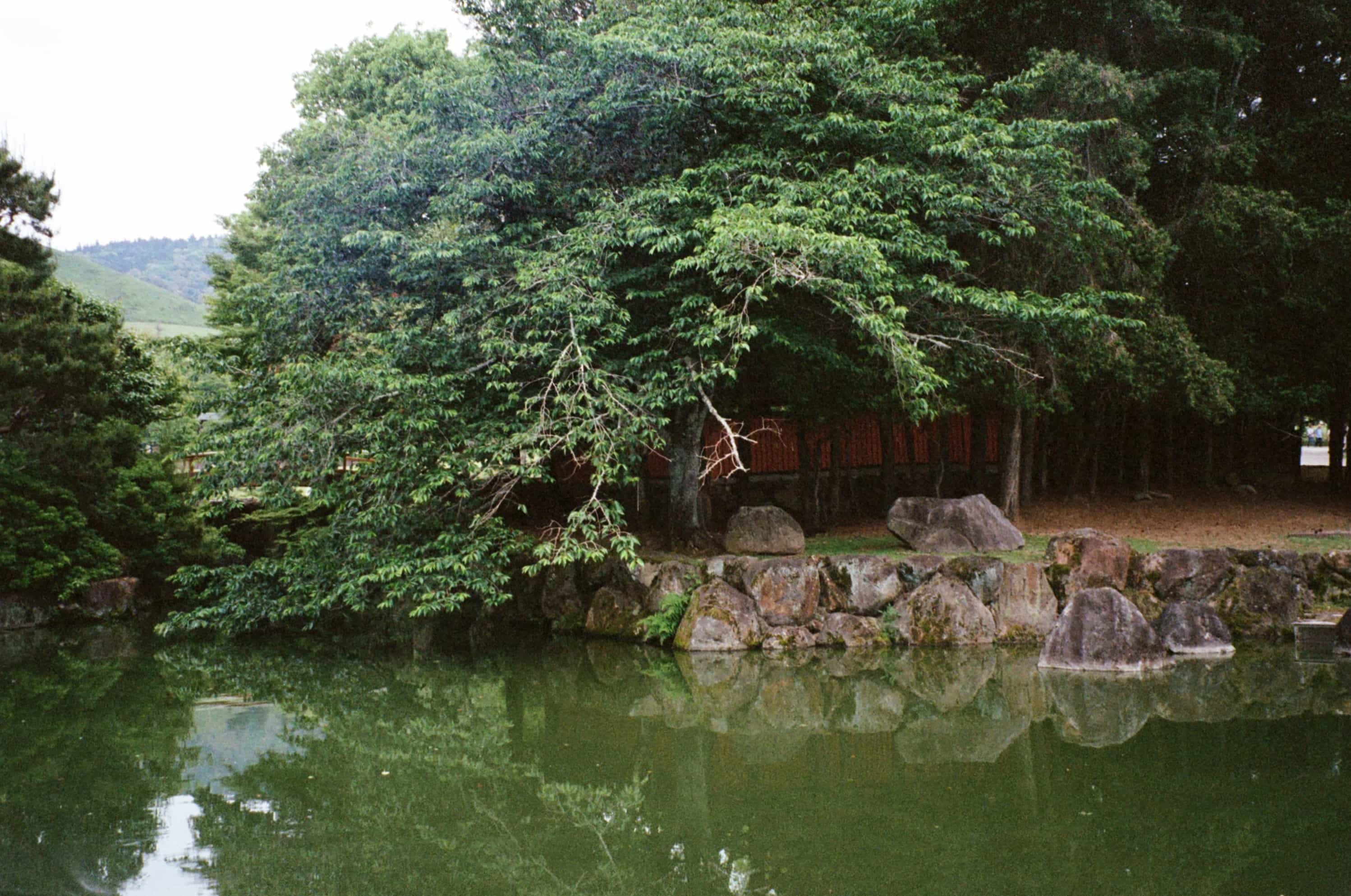 2024-05 Portra400 (7).jpg