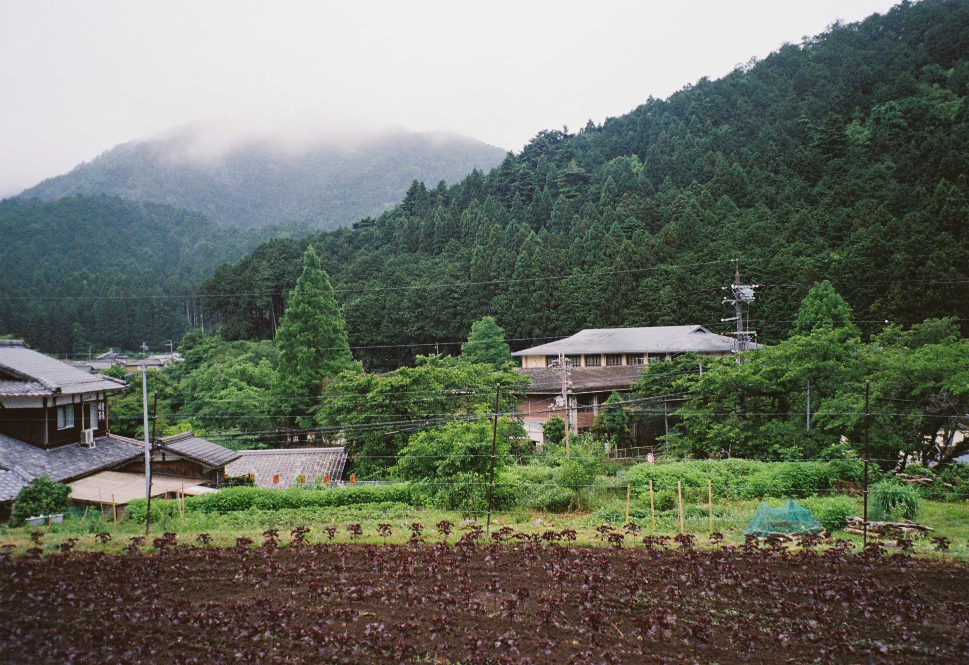 2024-06 Kodak Gold 400 (11).jpg