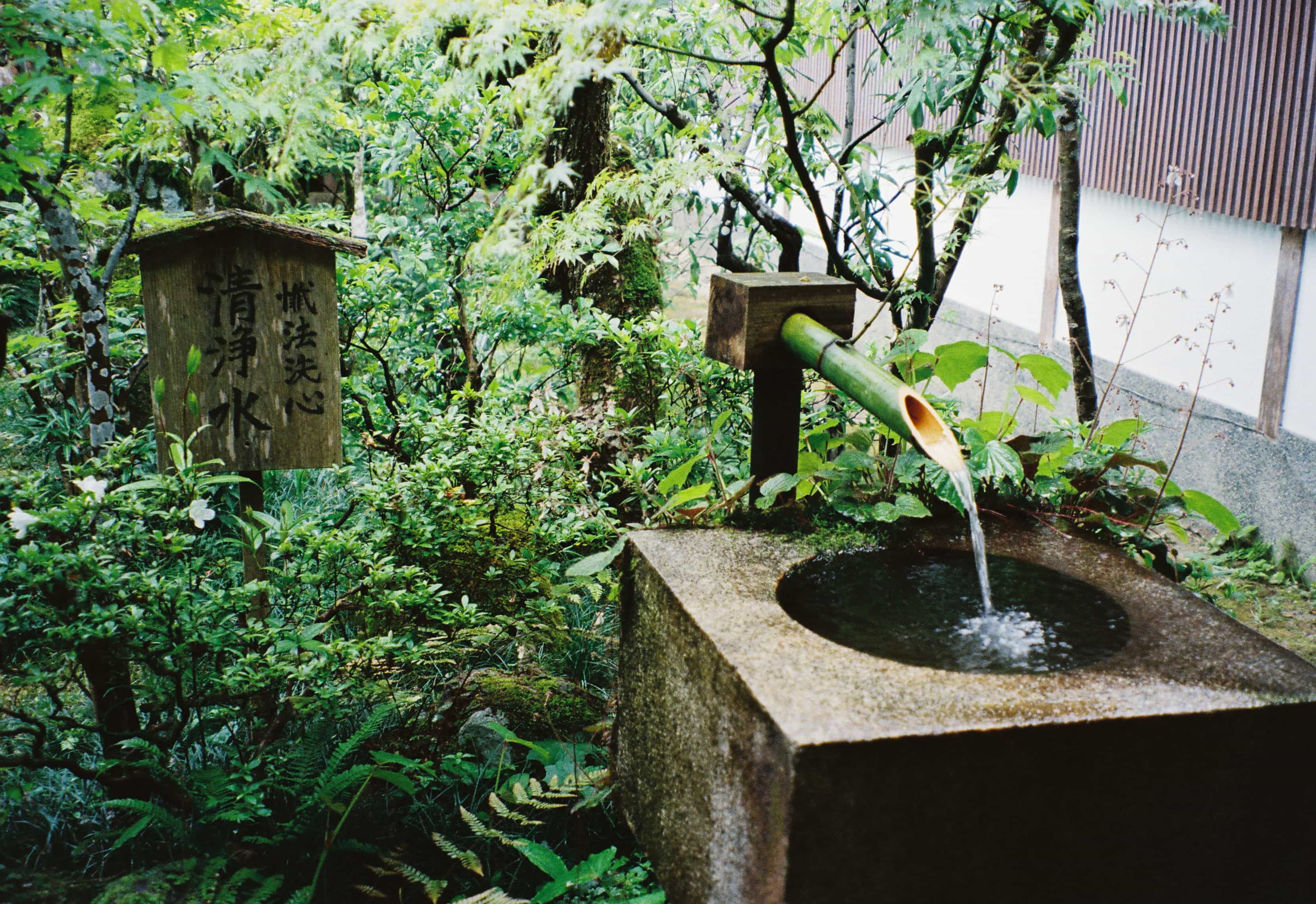 2024-06 Kodak Gold 400 (12).jpg