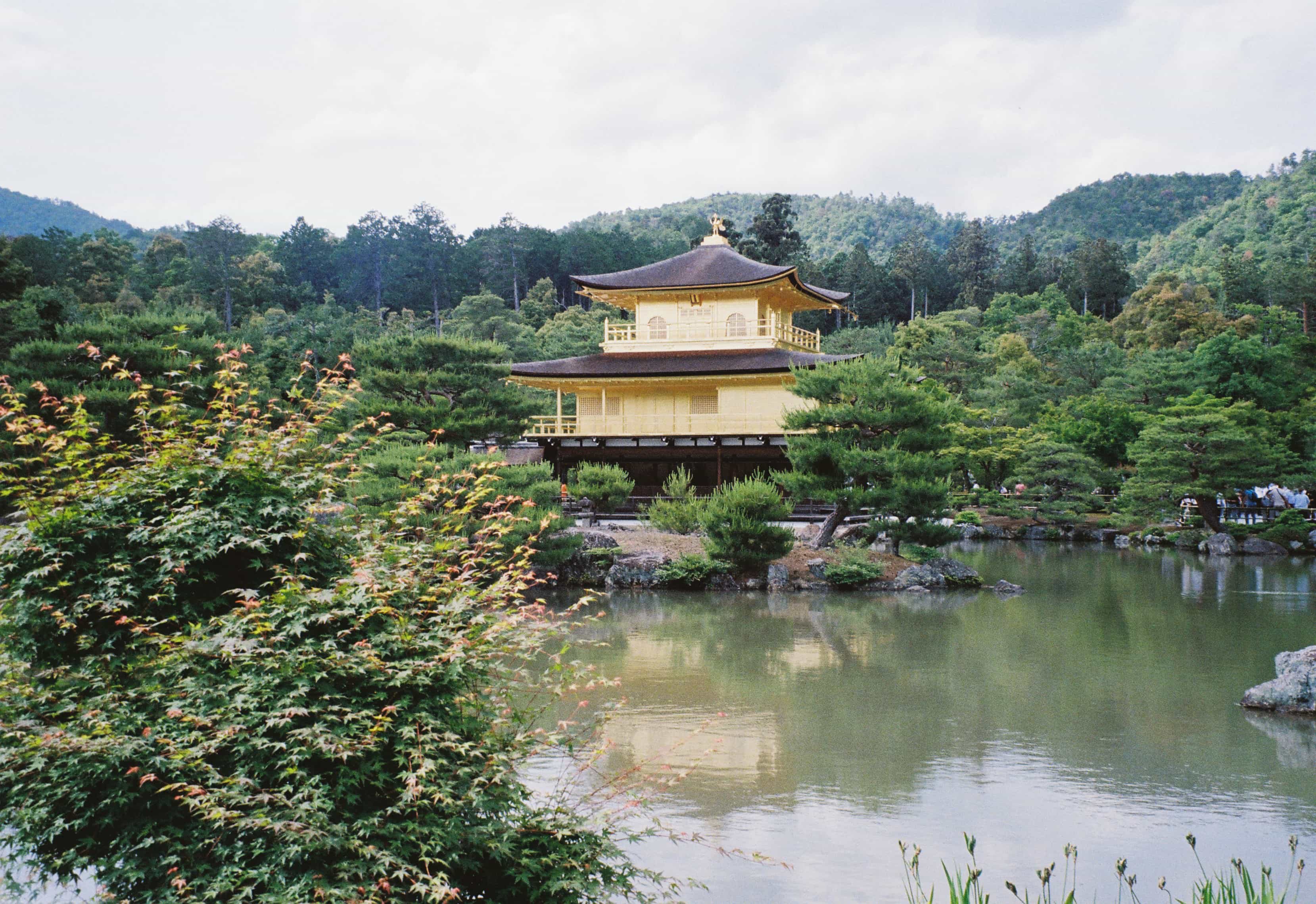 2024-06 Kodak Gold 400 (13).jpg