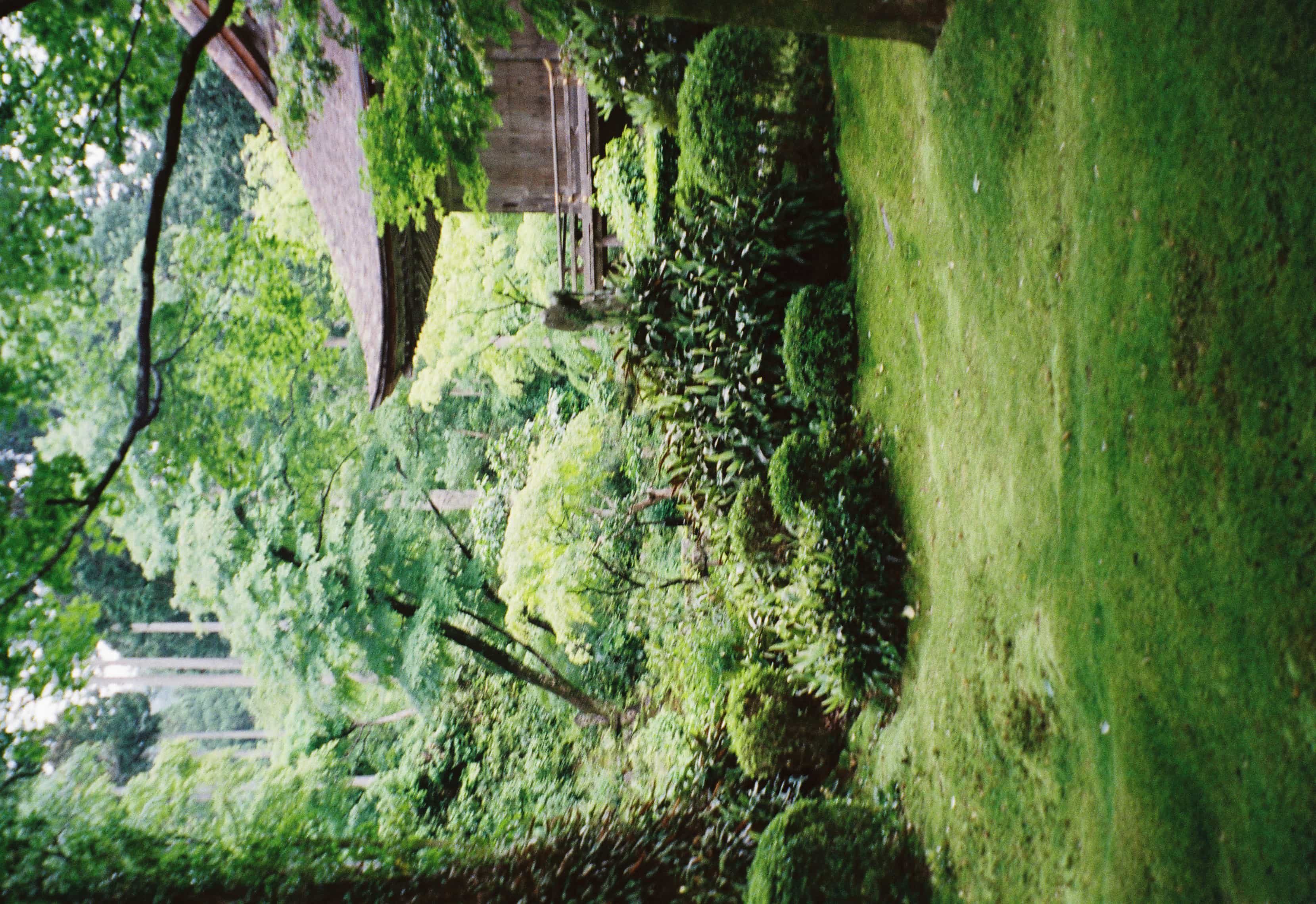 2024-06 Kodak Gold 400 (18).jpg