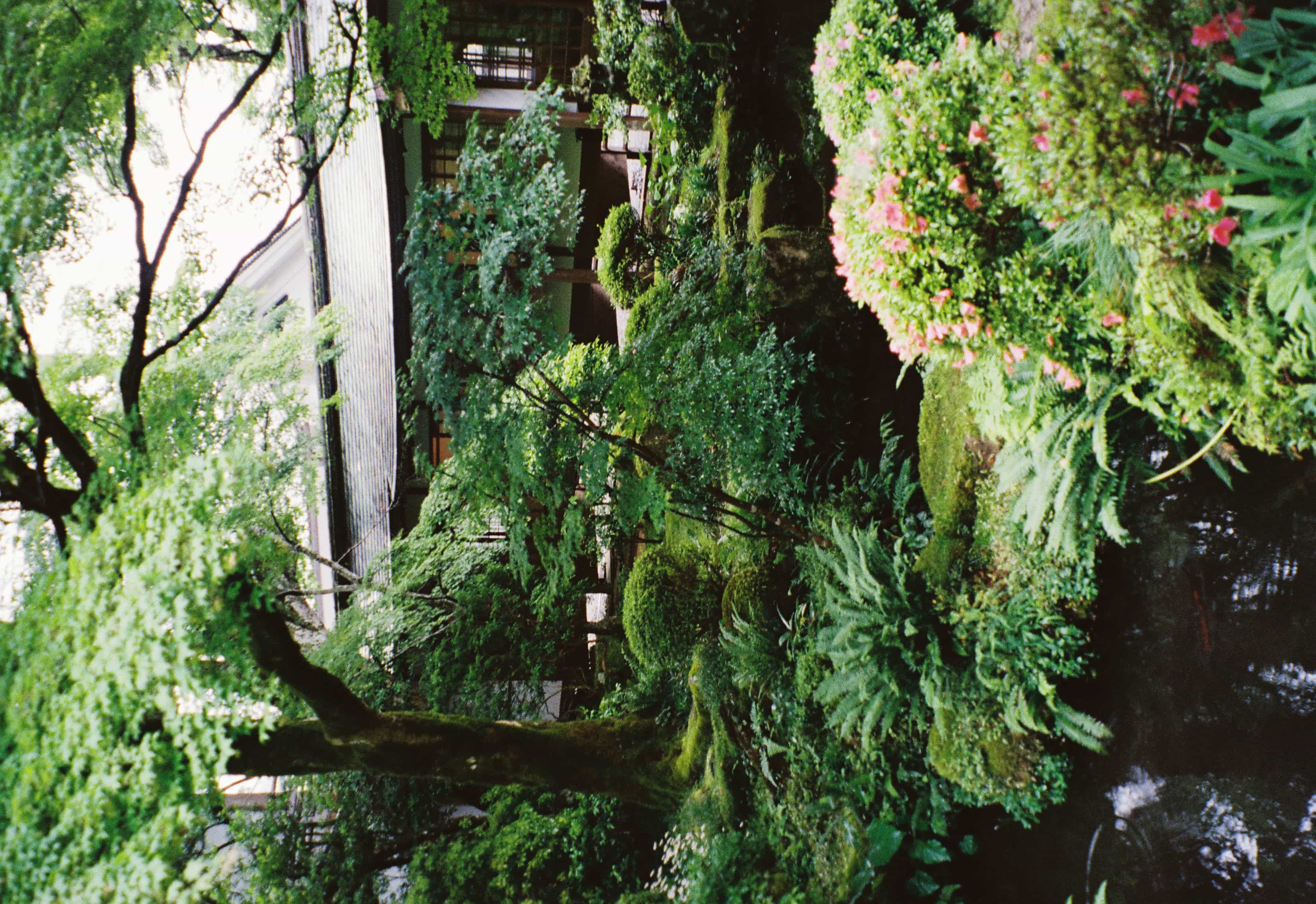 2024-06 Kodak Gold 400 (20).jpg