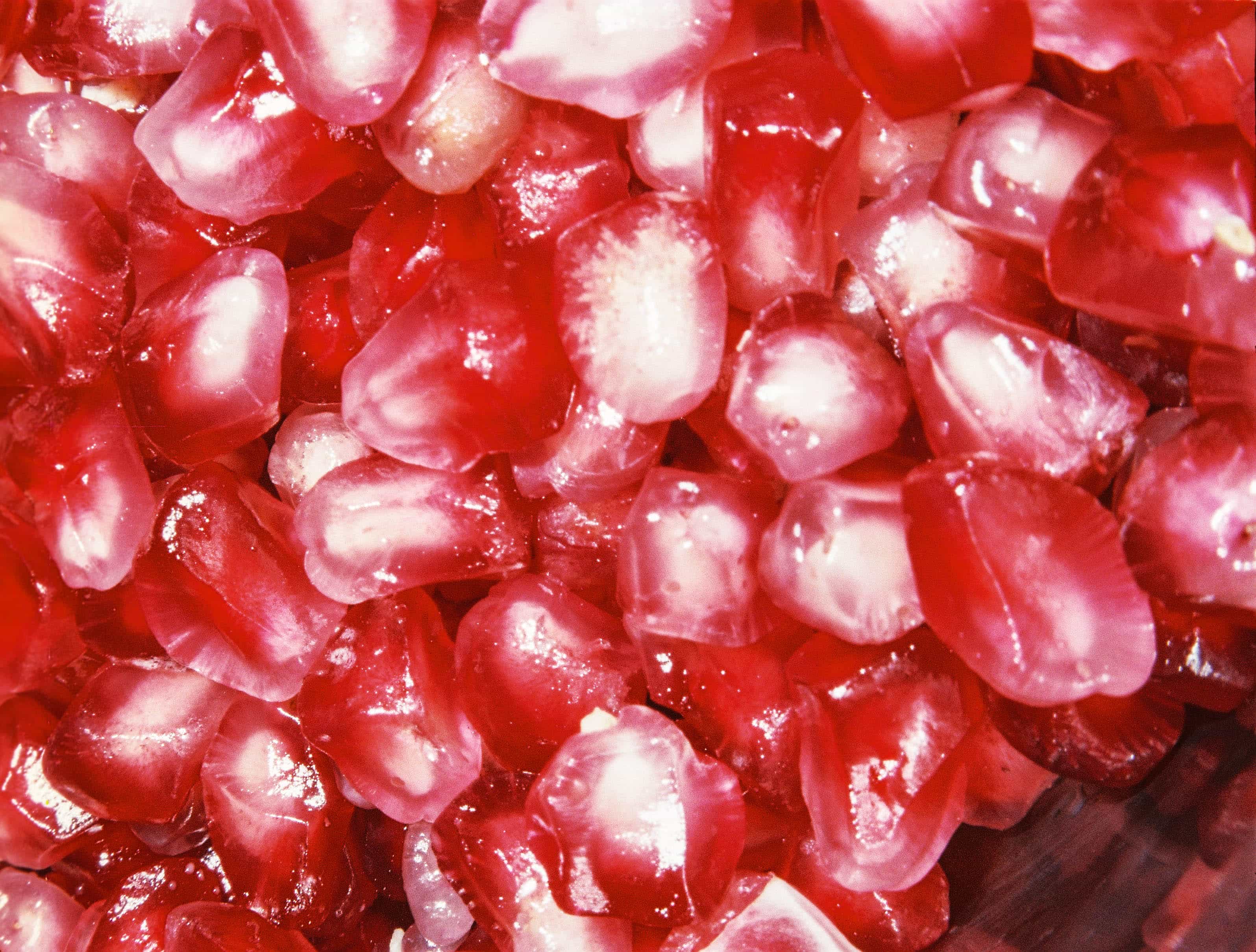 2024-10 Fujifilm Fujicolor Superia premium 400 (10).jpg