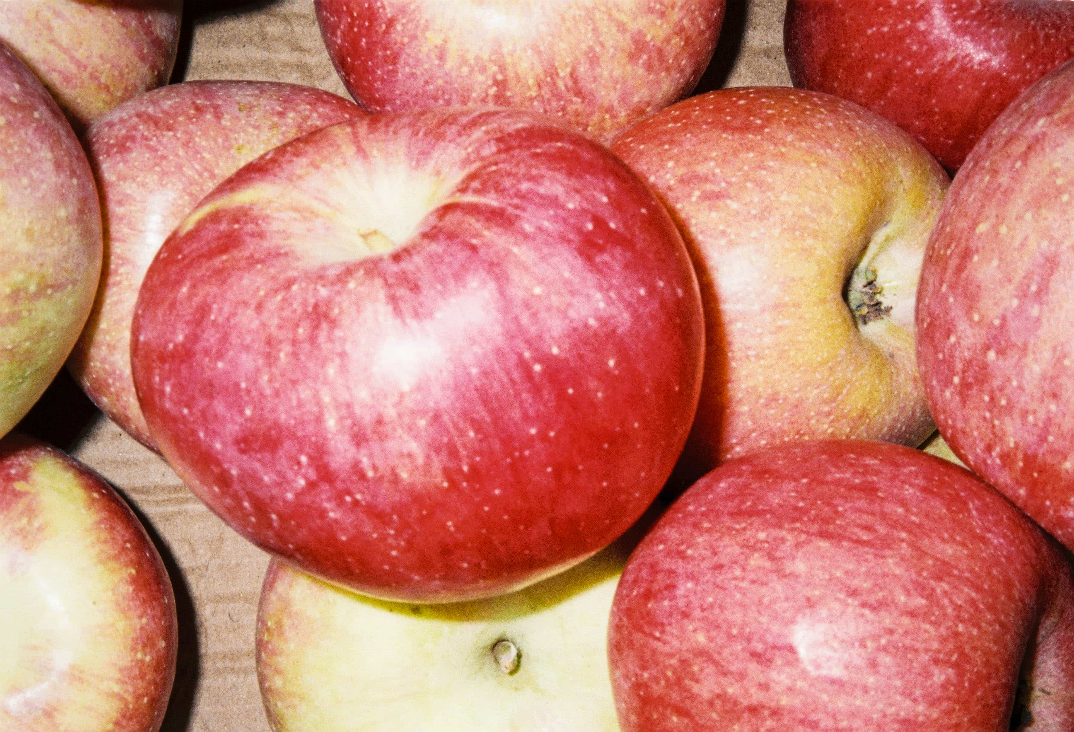 2024-10 Fujifilm Fujicolor Superia premium 400 (13).jpg