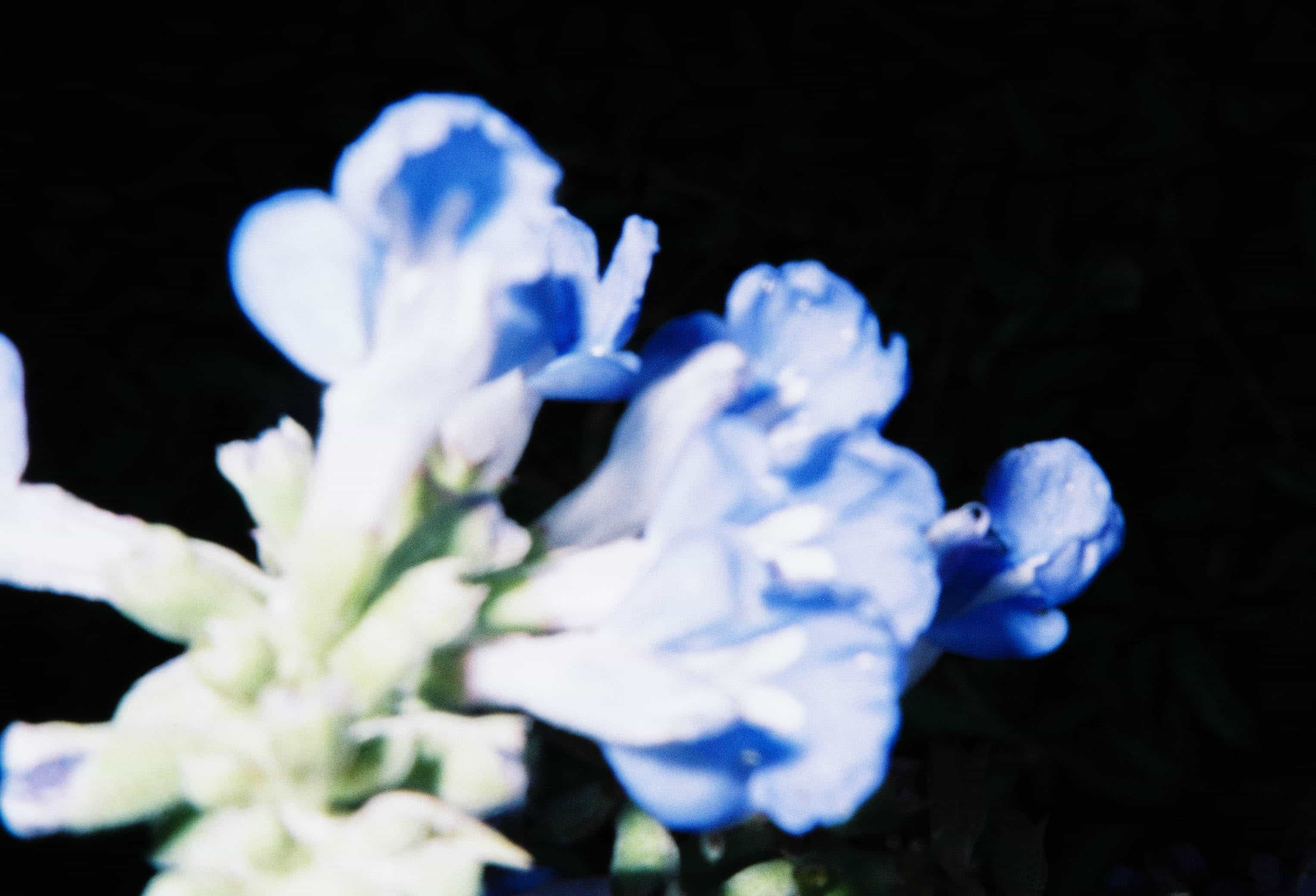 2024-10 Fujifilm Fujicolor Superia premium 400 (15).jpg