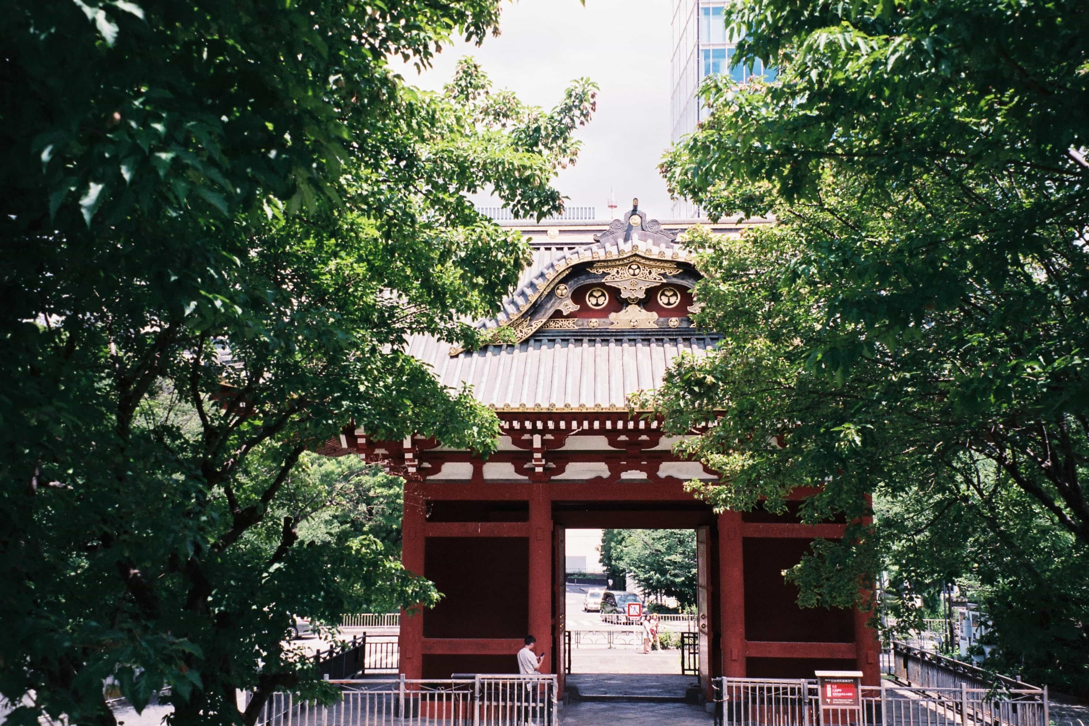 2024-10 Fujifilm Fujicolor Superia premium 400 (8).jpg