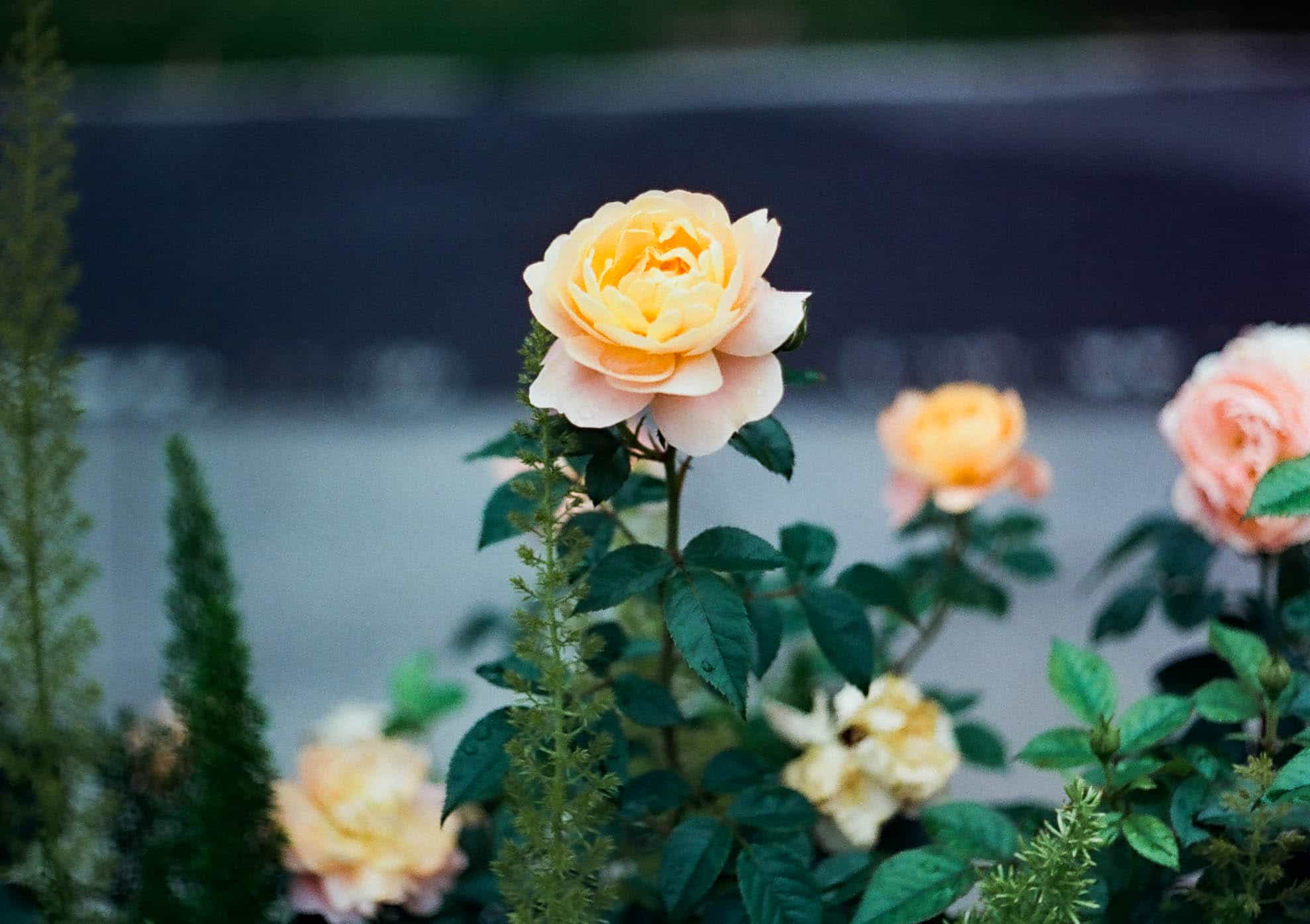 2025-06 Penfit  5207 (1).jpg