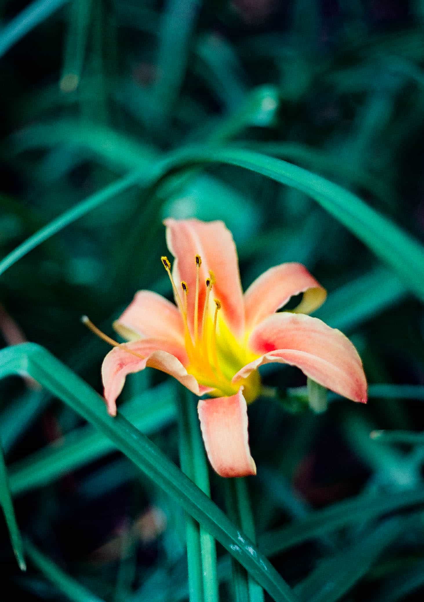 2025-06 Penfit  5207 (11).jpg