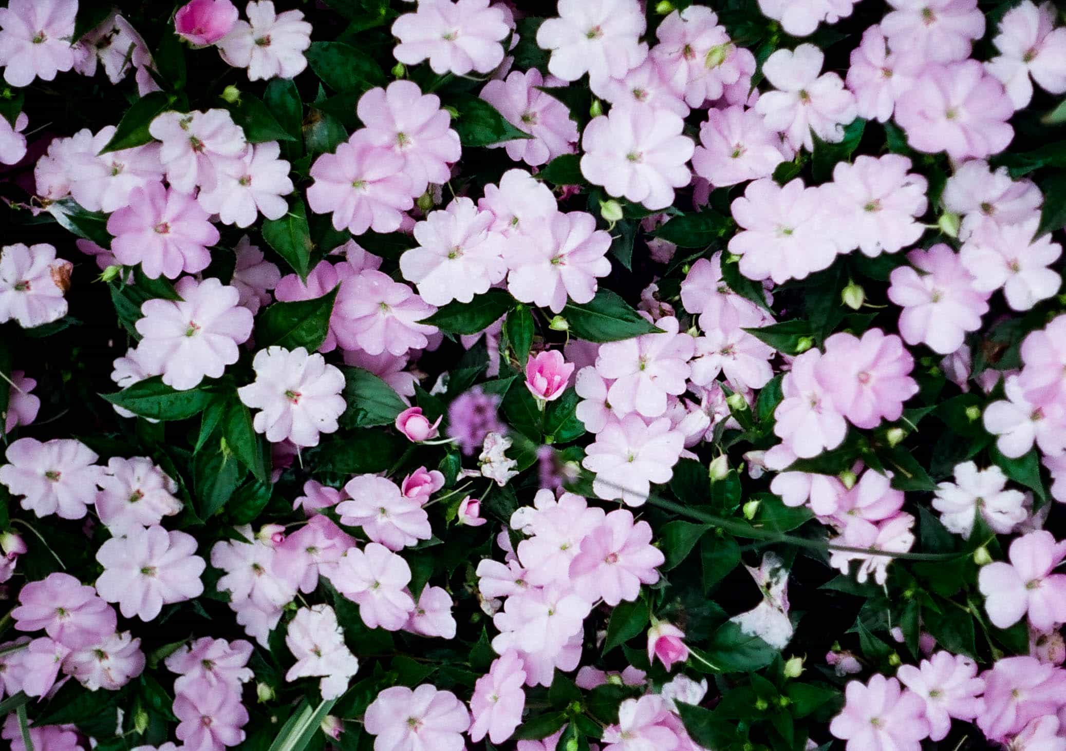 2025-06 Penfit  5207 (13).jpg