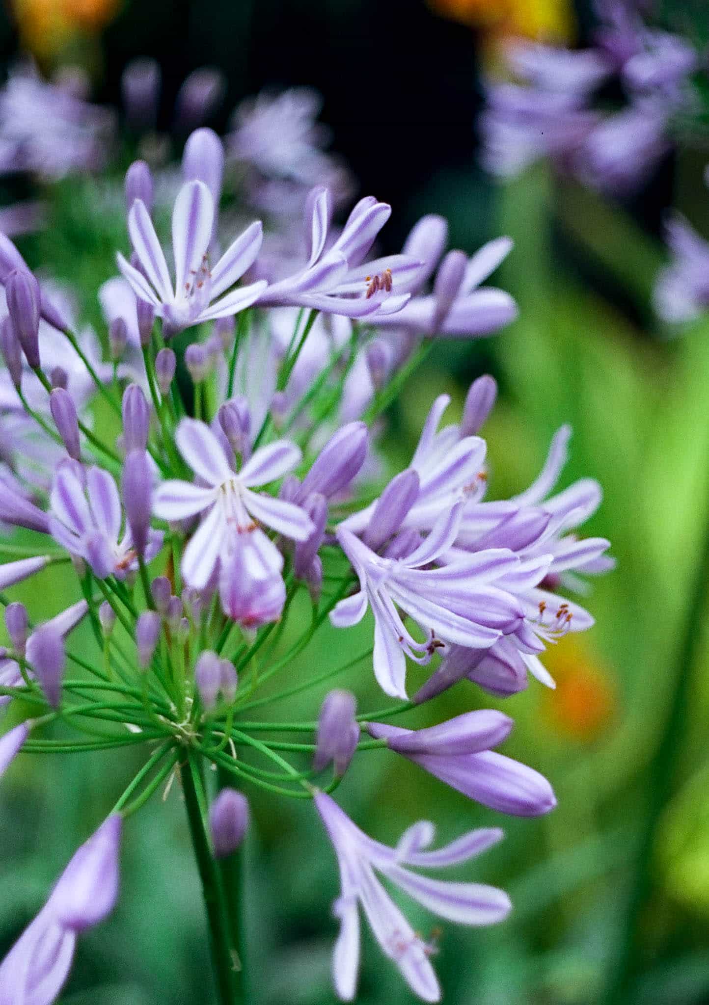 2025-06 Penfit  5207 (15).jpg