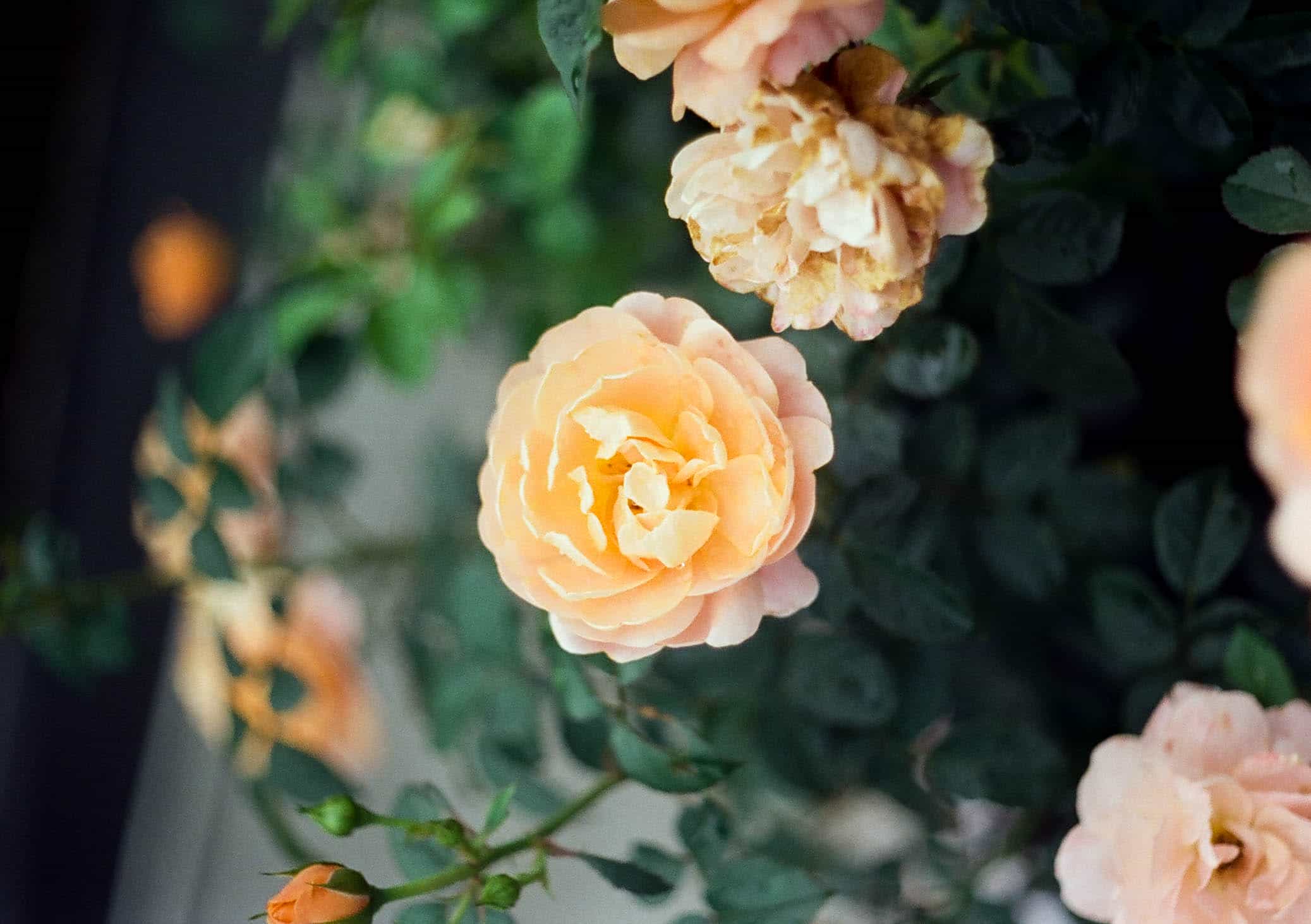 2025-06 Penfit  5207 (17).jpg