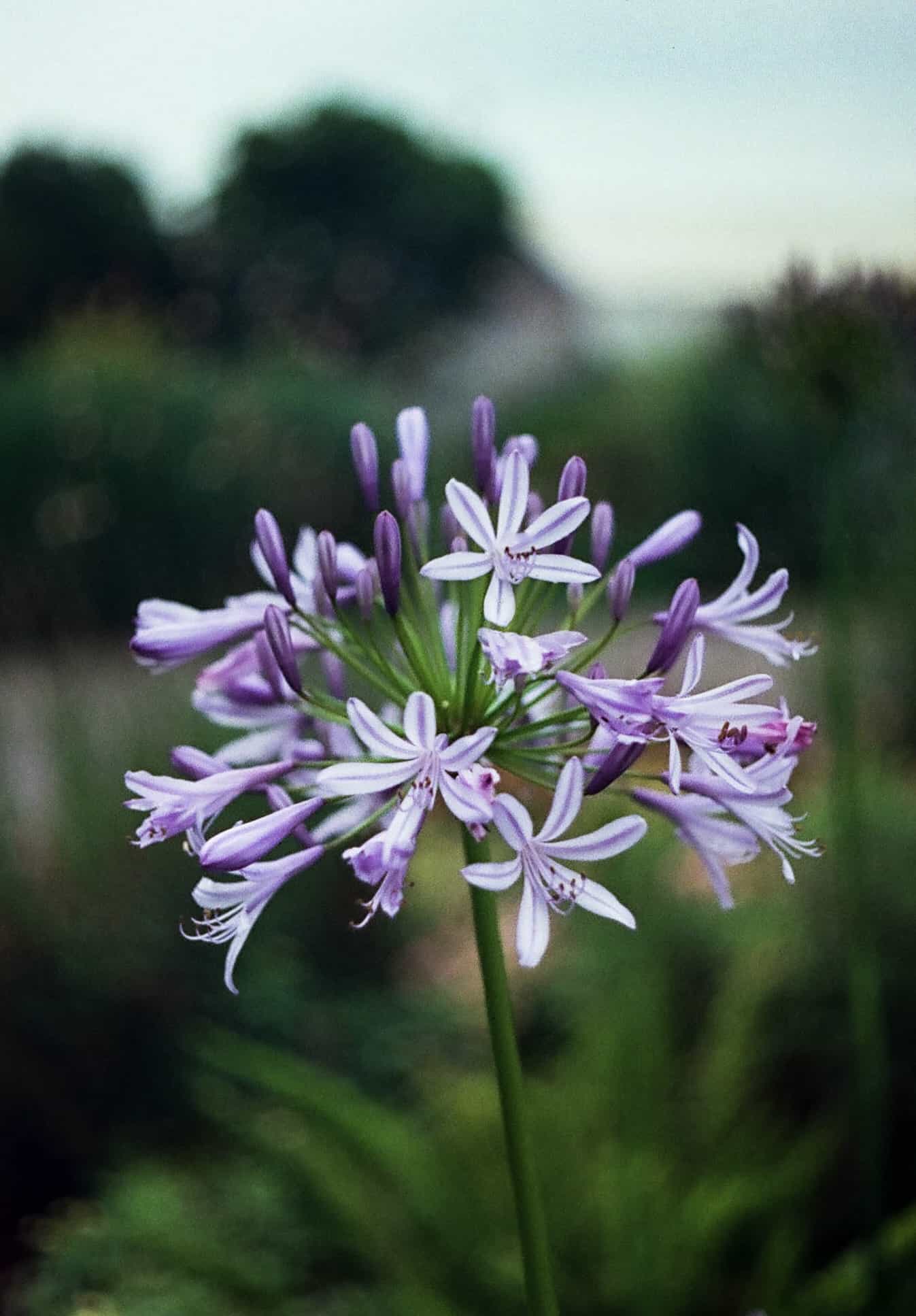 2025-06 Penfit  5207 (2).jpg