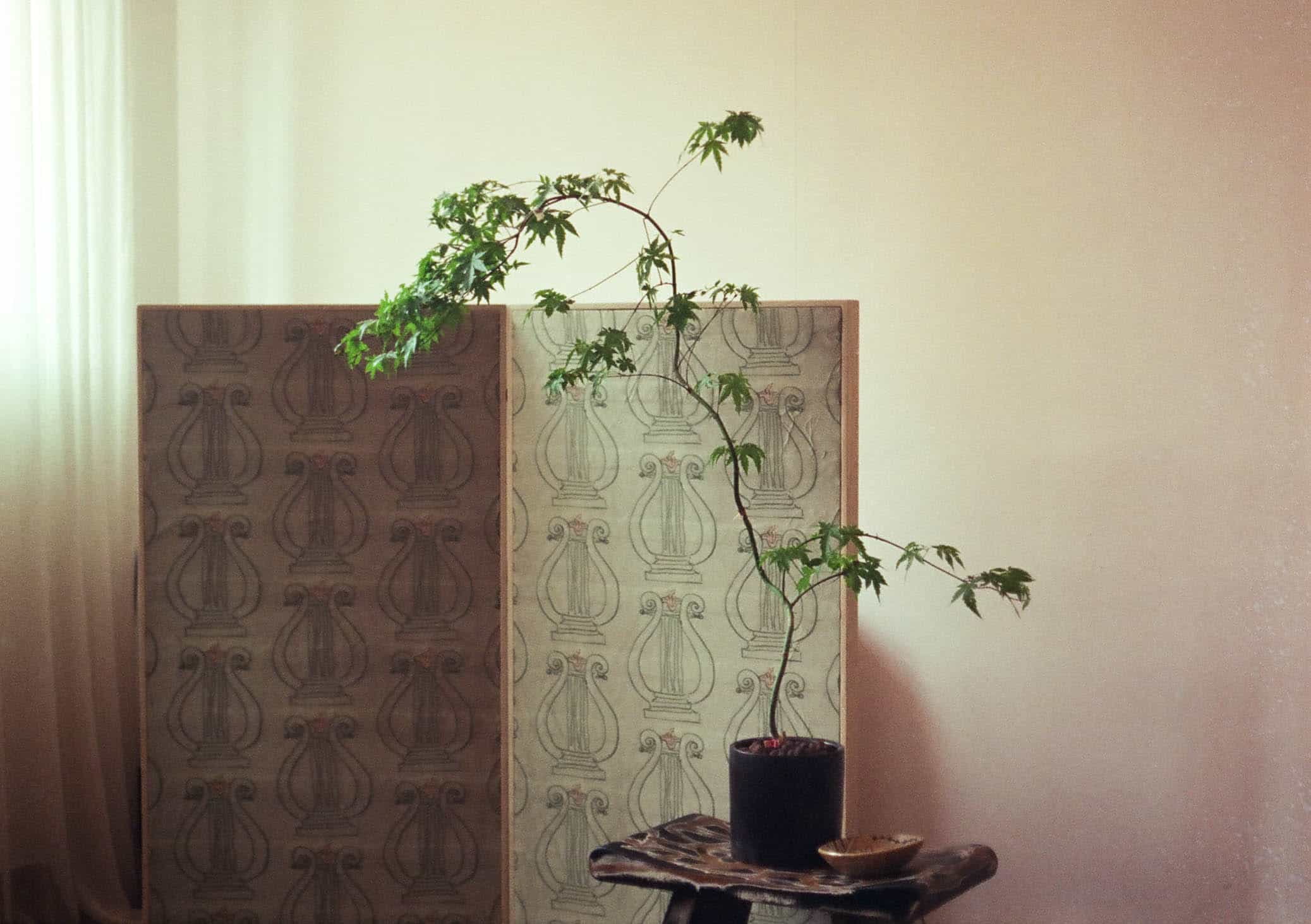 2025-06 Penfit  5207 (4).jpg