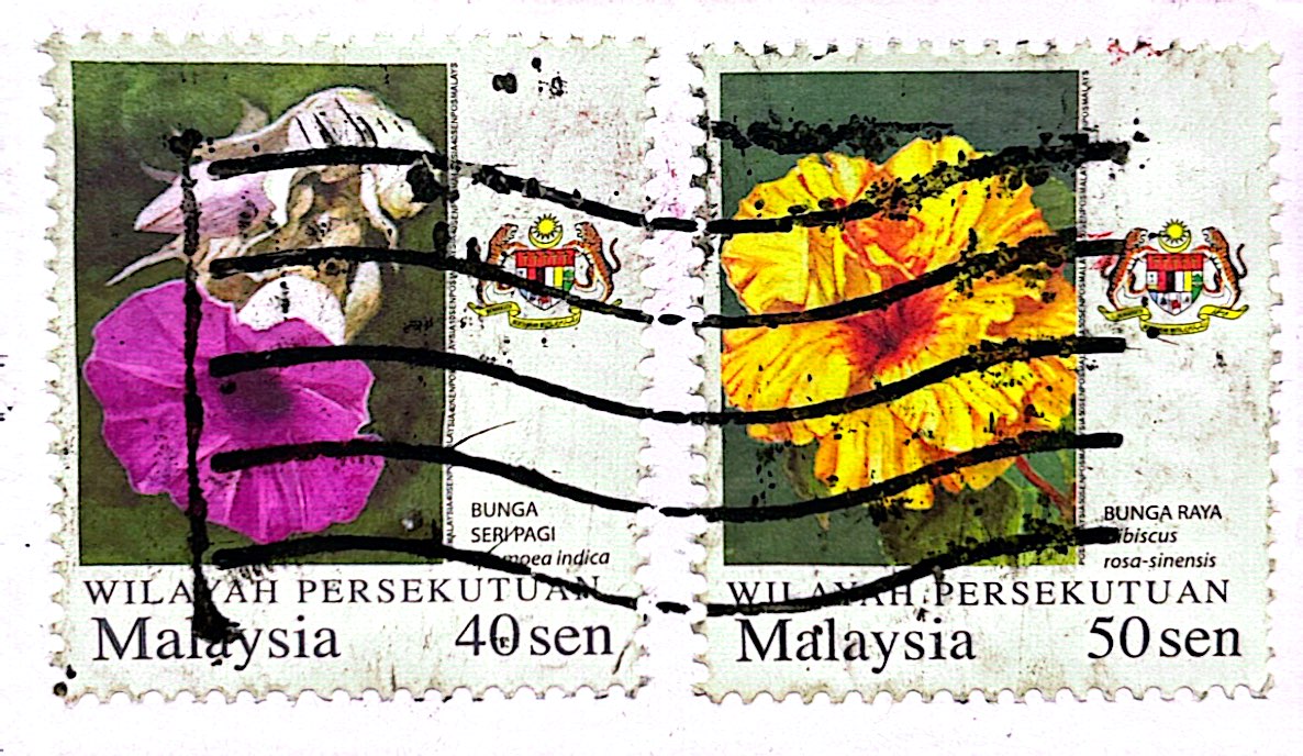 2024-08-20 Malaysia (2).jpg