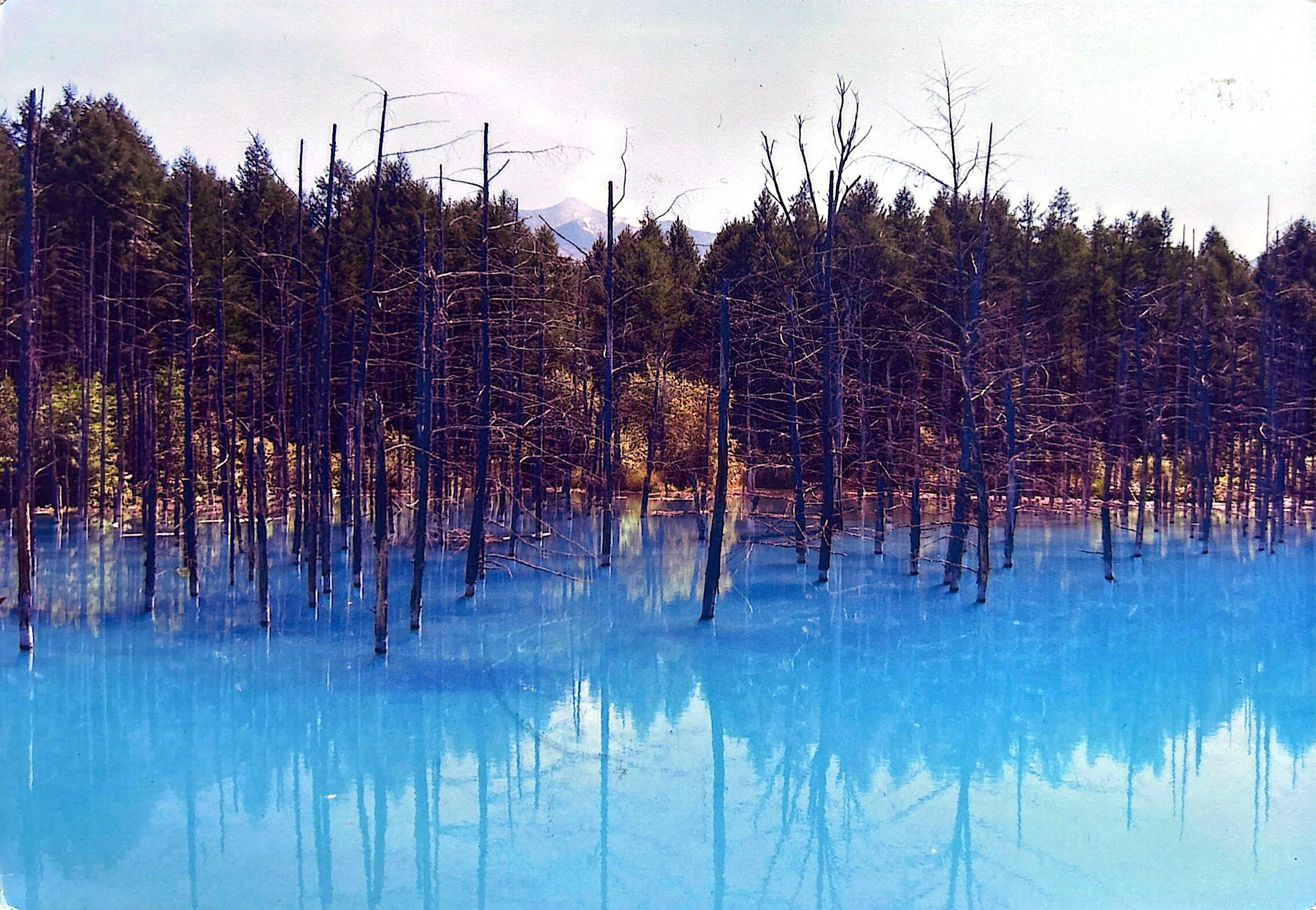 2025-07-25  Japan (1).jpg