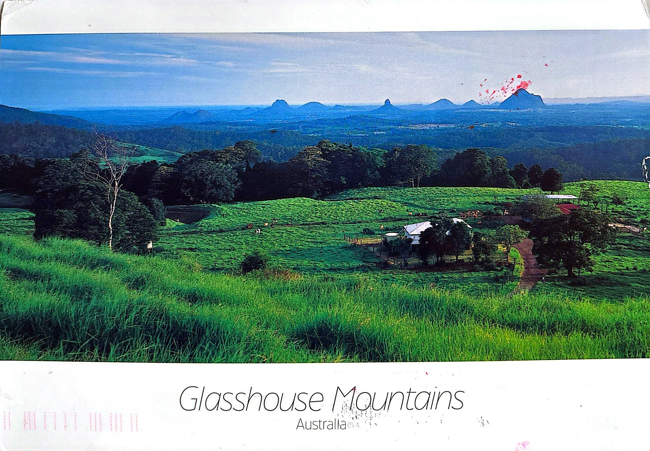 2025-07-25 Australia (1).jpg