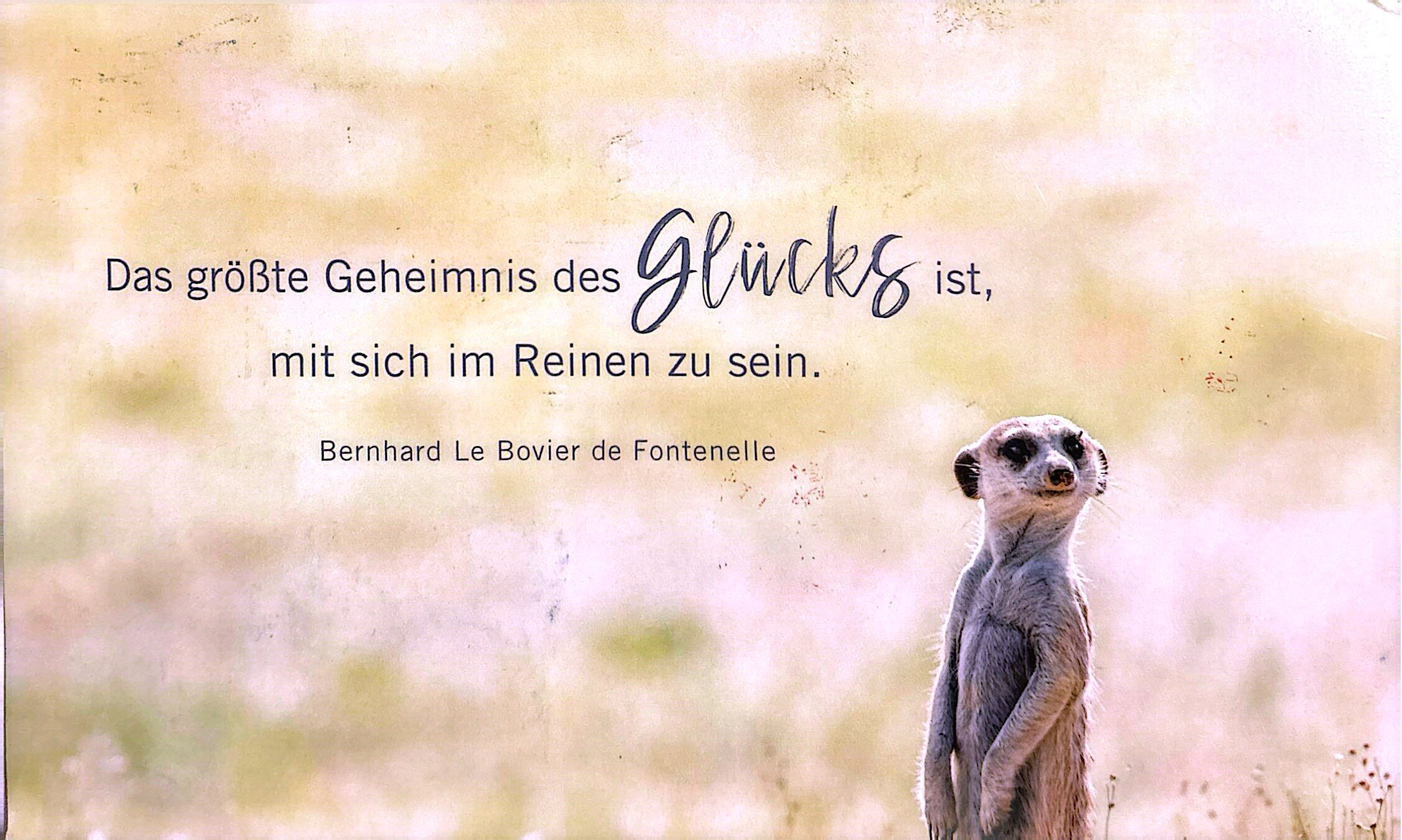 2025-07-25 Germany (7).jpg