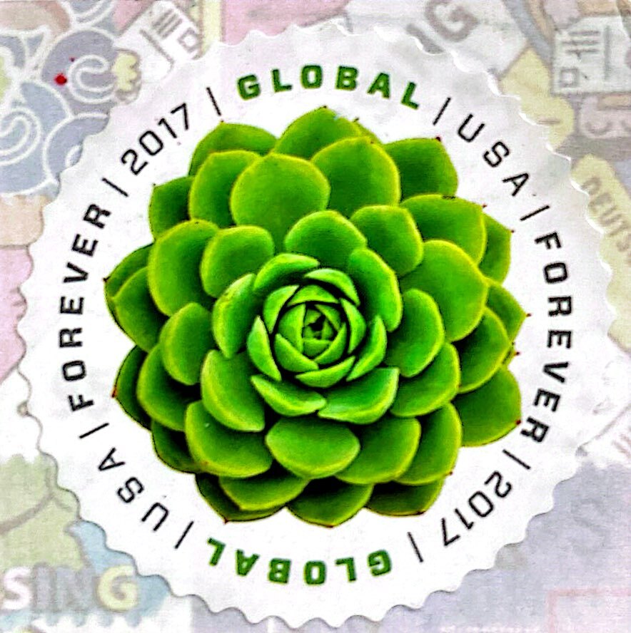 2025-07-25 USA (2).jpg