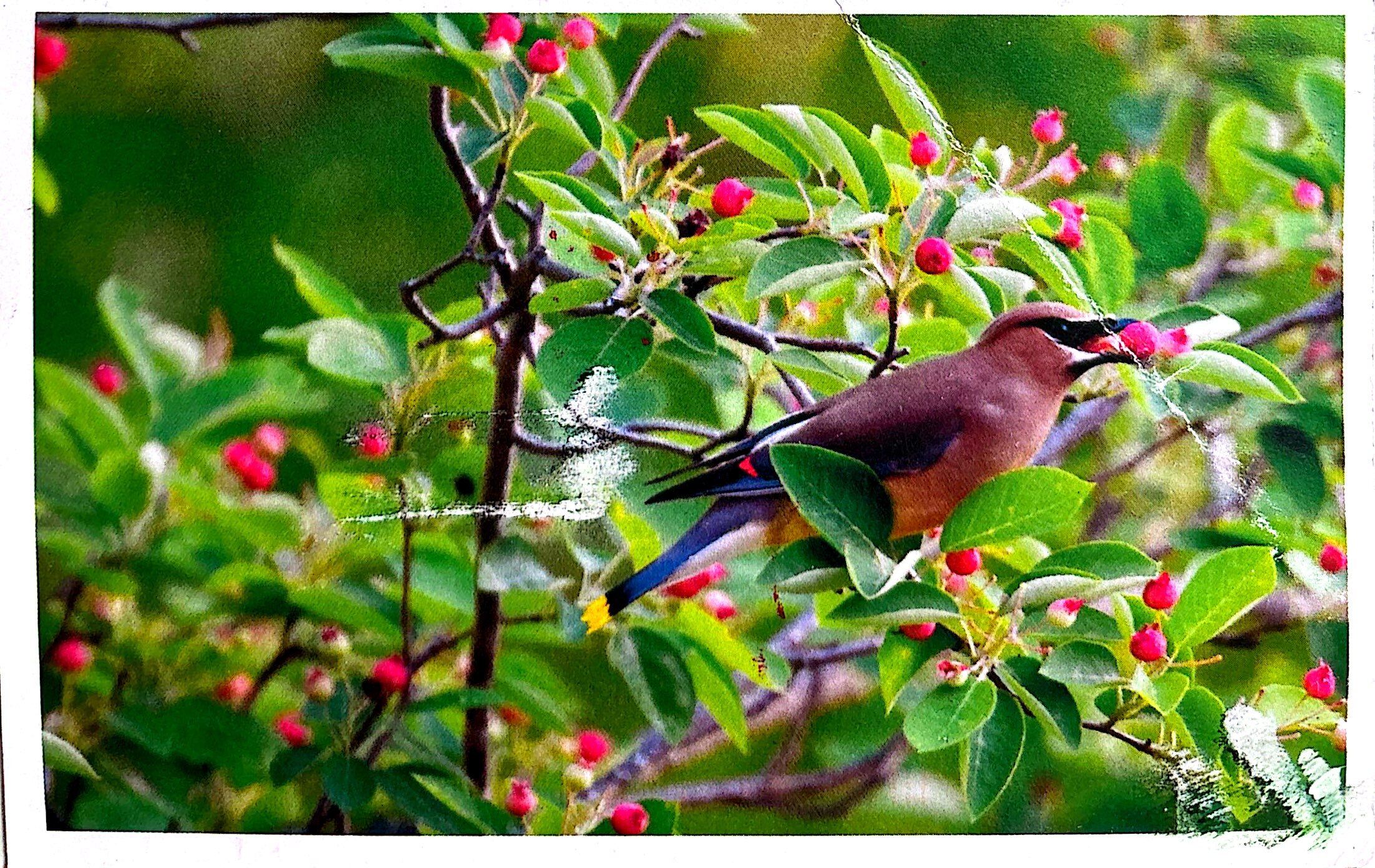 2025-07-25 USA (3).jpg