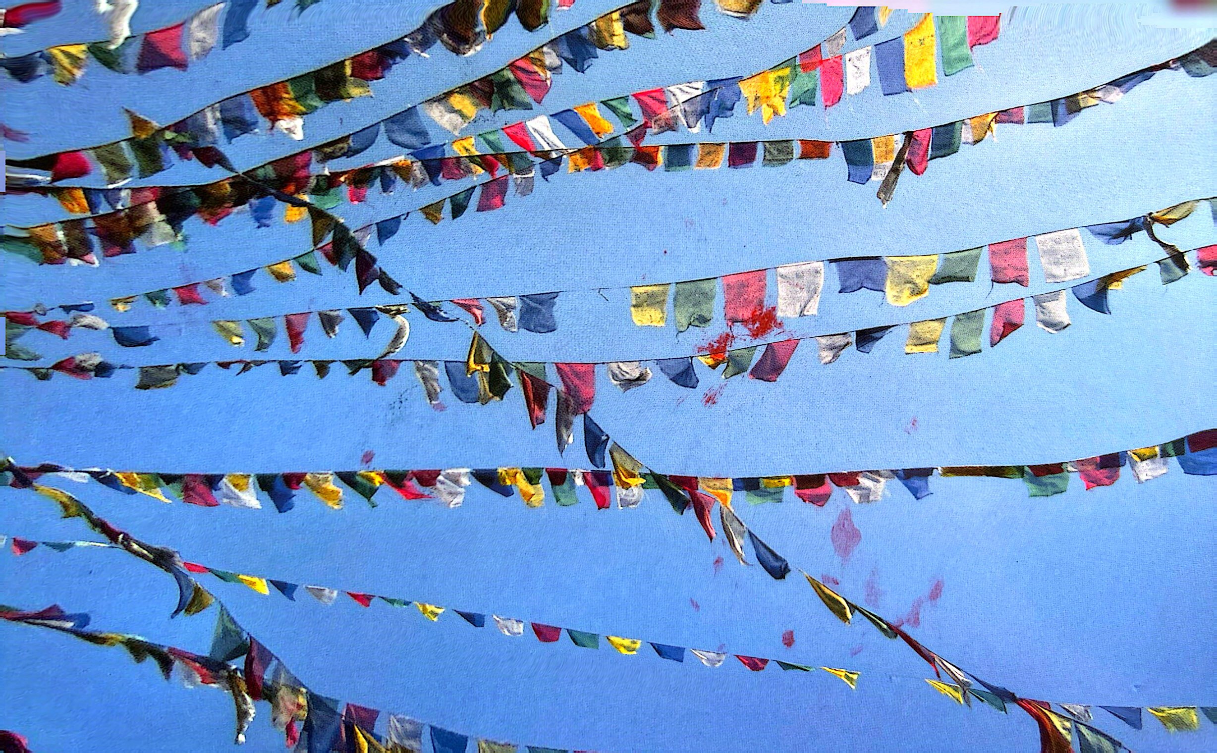 2025-07-25 USA (4).jpg