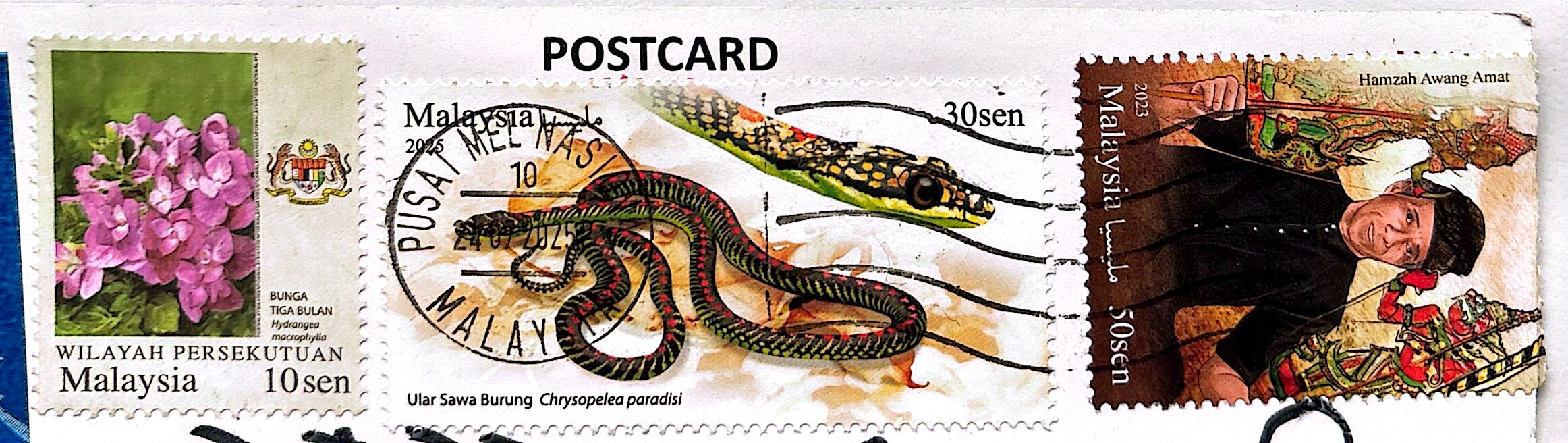 2025-09-01 Malaysia.jpg