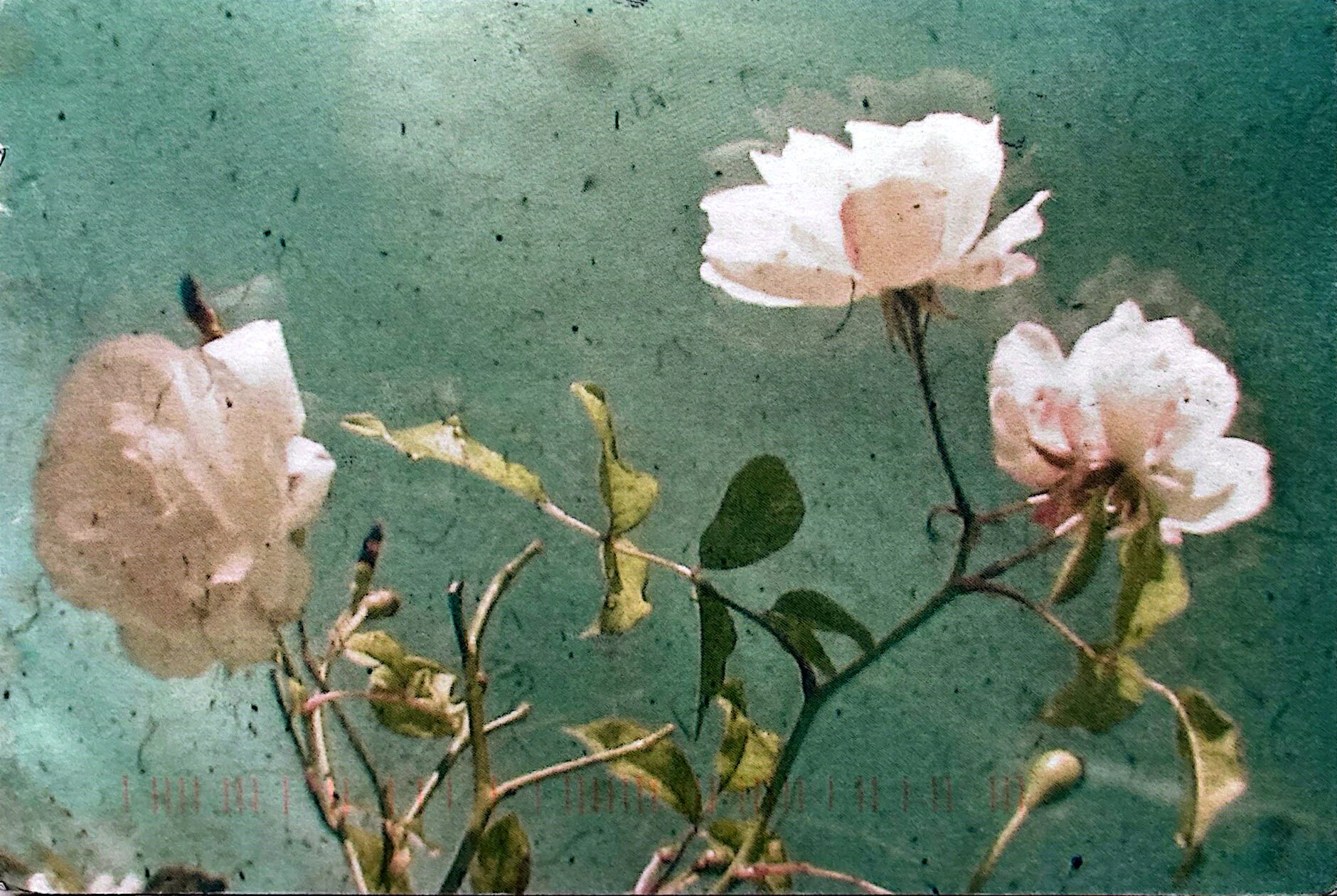 2025-09-01 USA (1).jpg