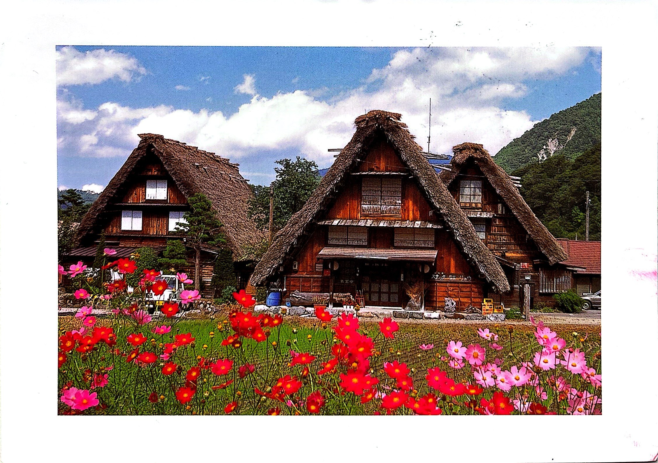 2025-10-28 Japan (4).jpg