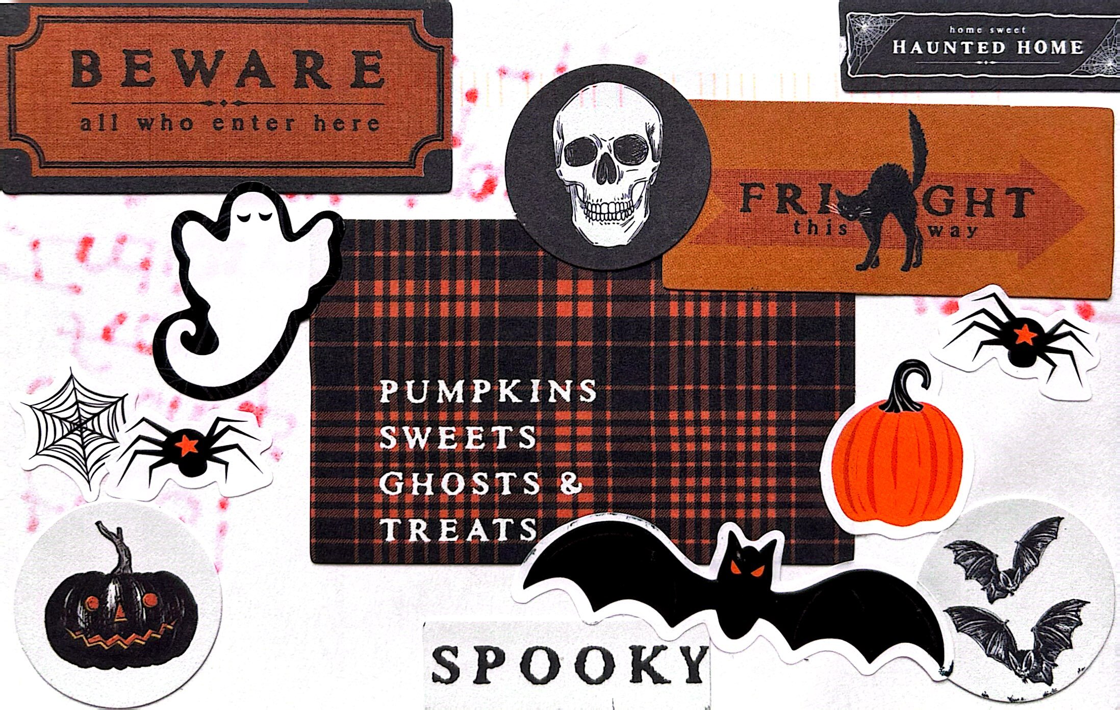 2025-10-28 USA (1).jpg