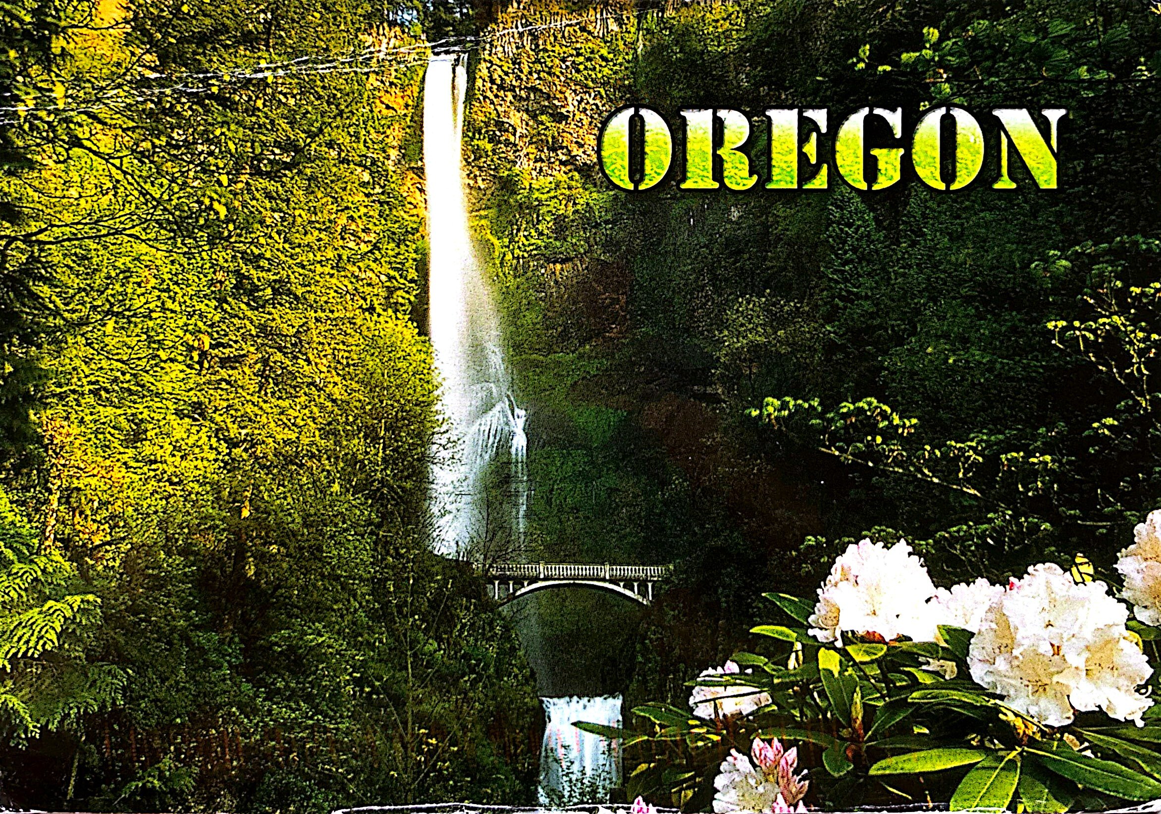 2025-10-28 USA (3).jpg