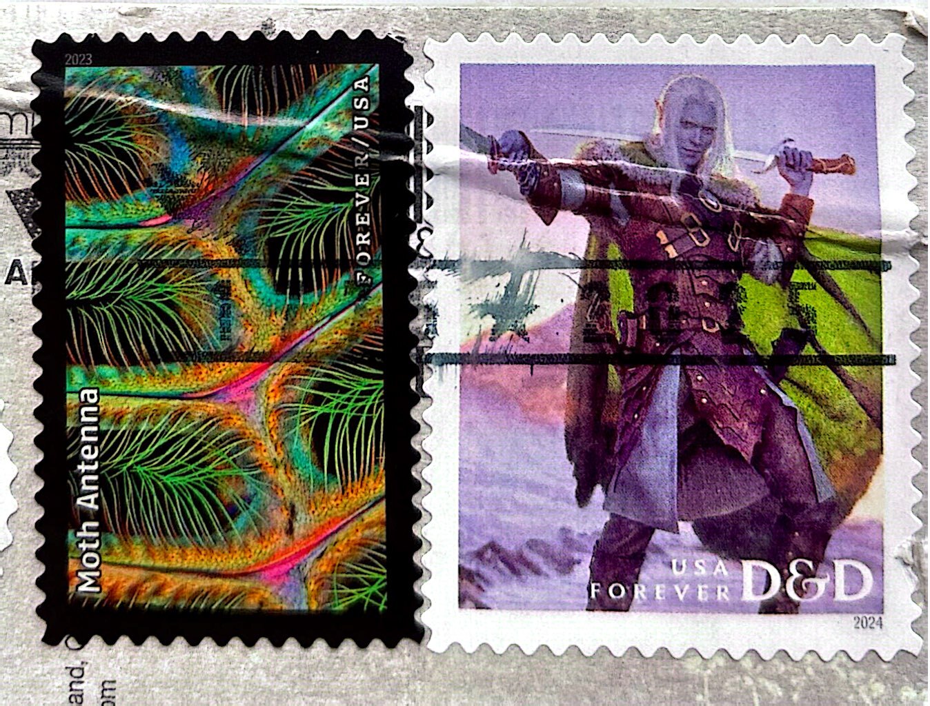 2025-10-28 USA (4).jpg