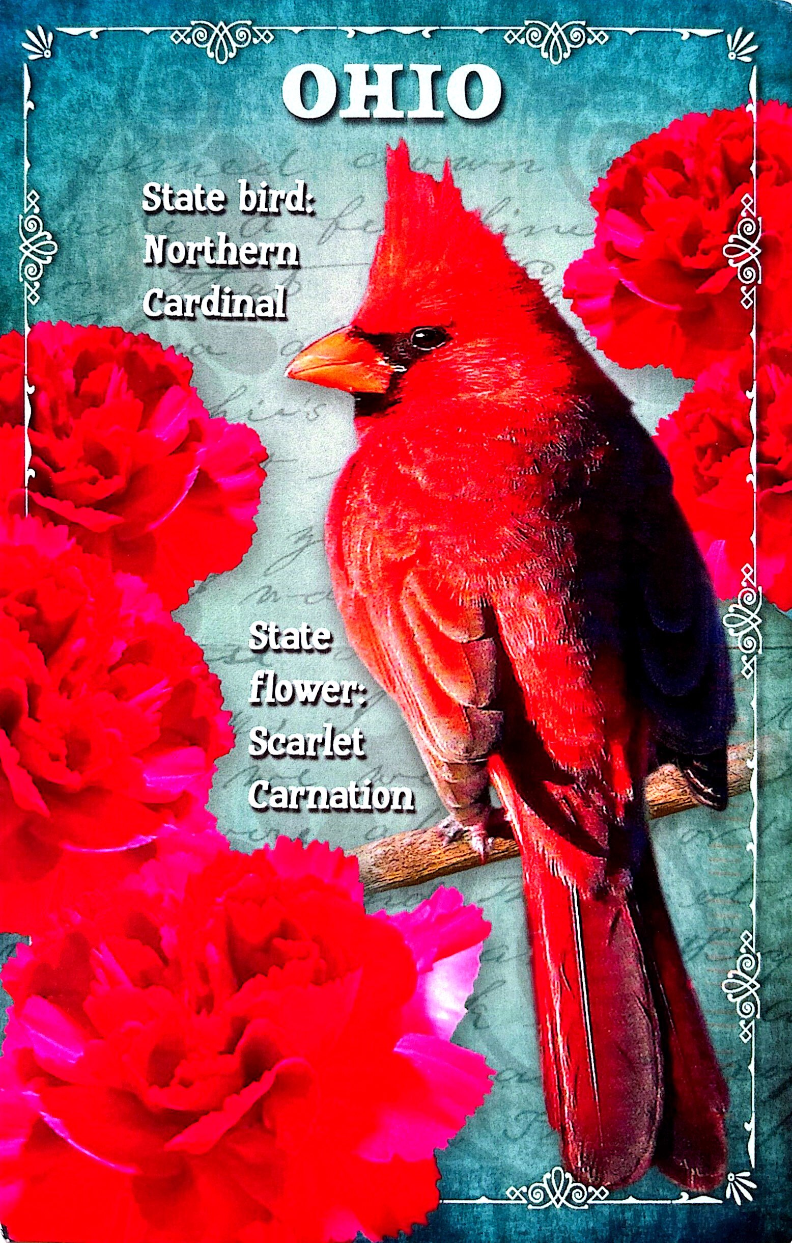 2025-10-28 USA (5).jpg