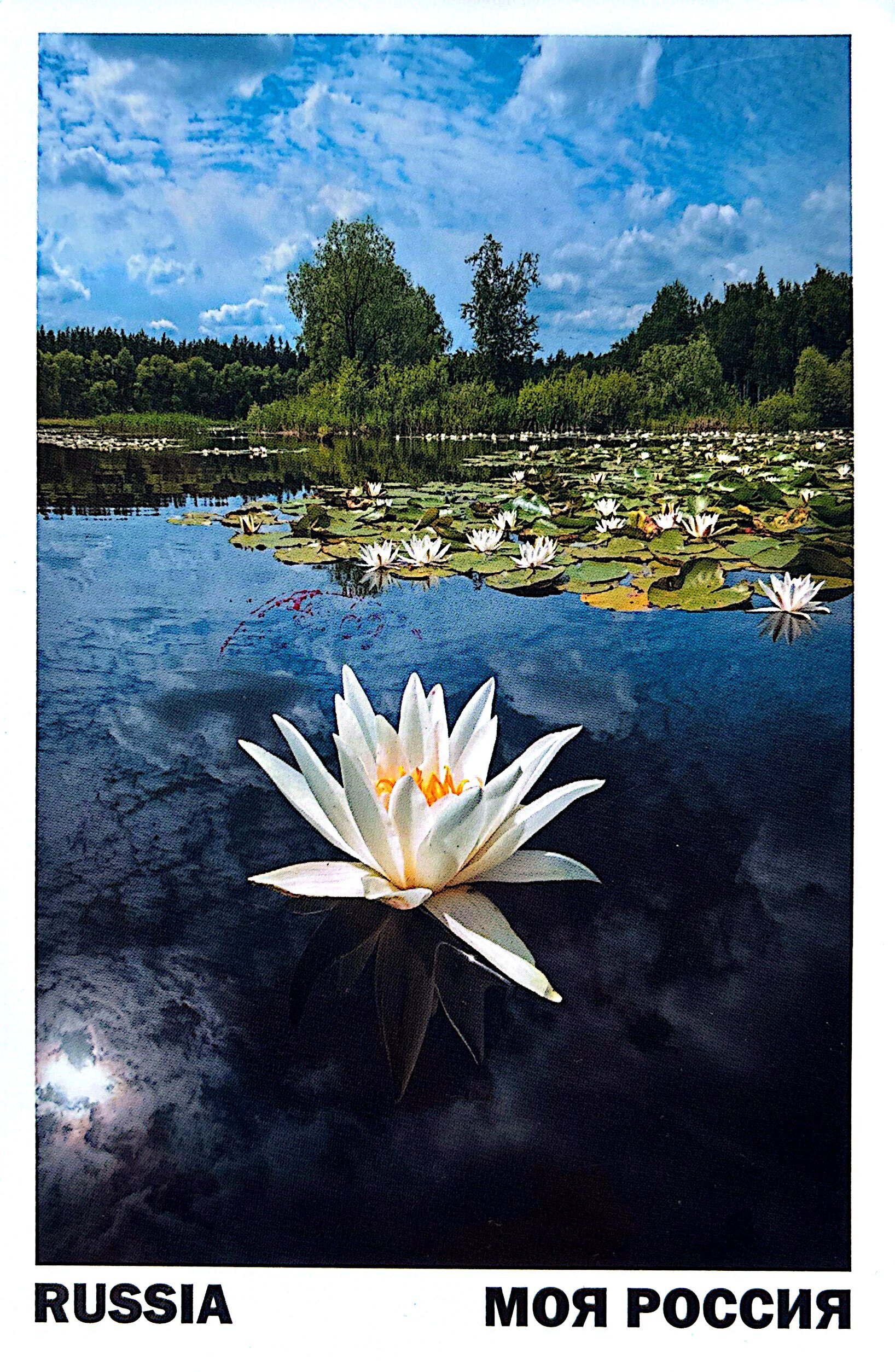 2025-10-29 Russia (1).jpg