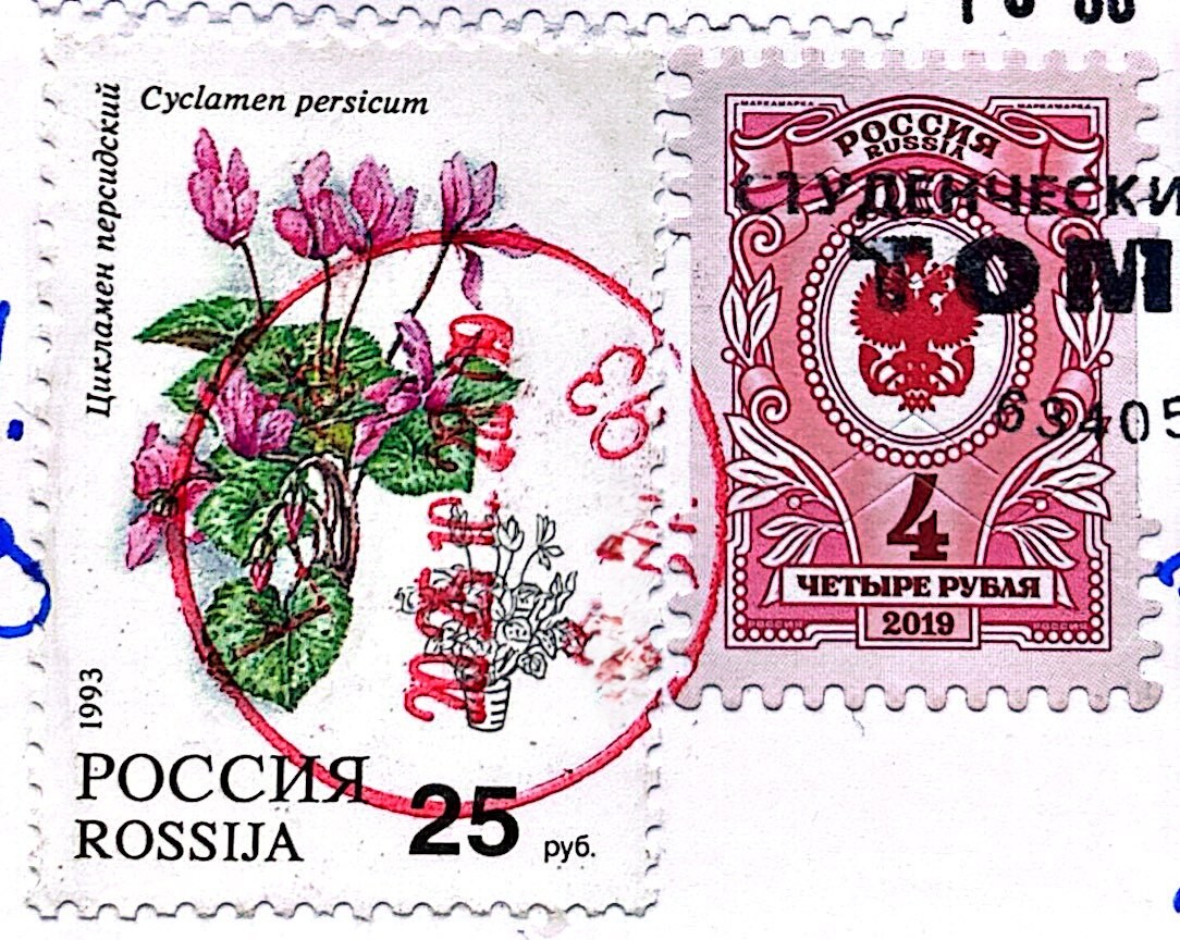 2025-10-29 Russia.jpg