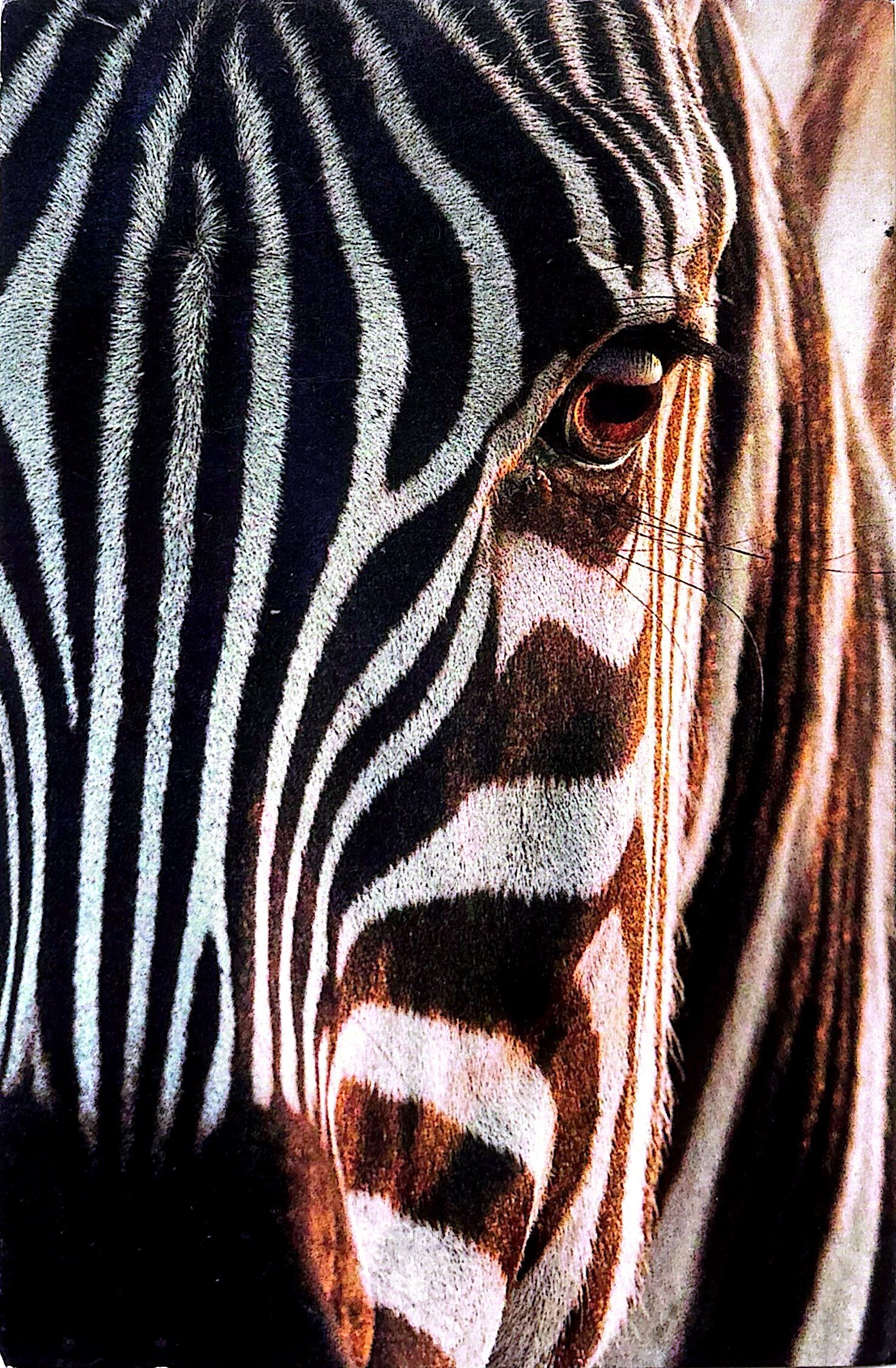 2025-10-29 Switzerland.jpg