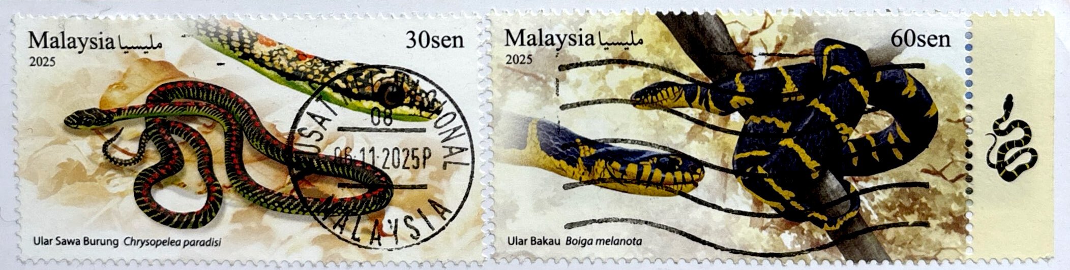 2025-11-26 Malaysia (2).jpg