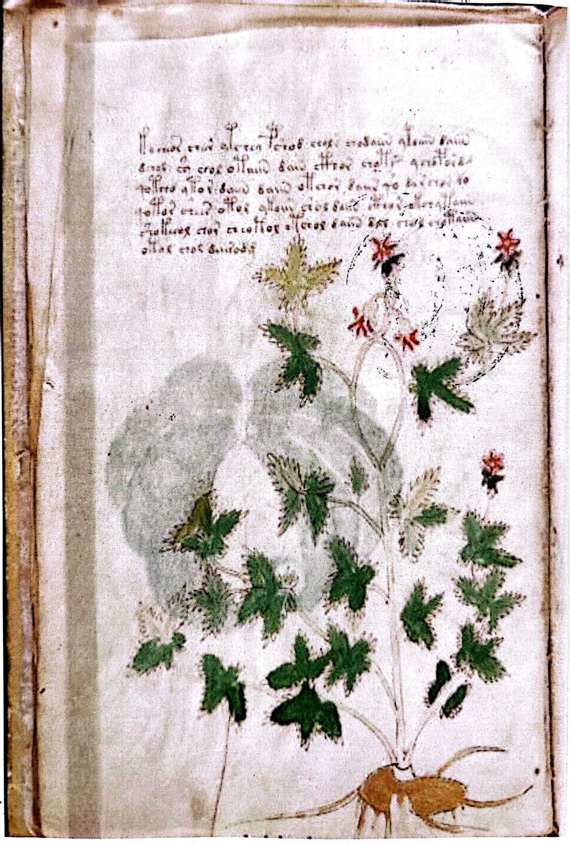 2025-11-6 Bangladesh  (1).jpg