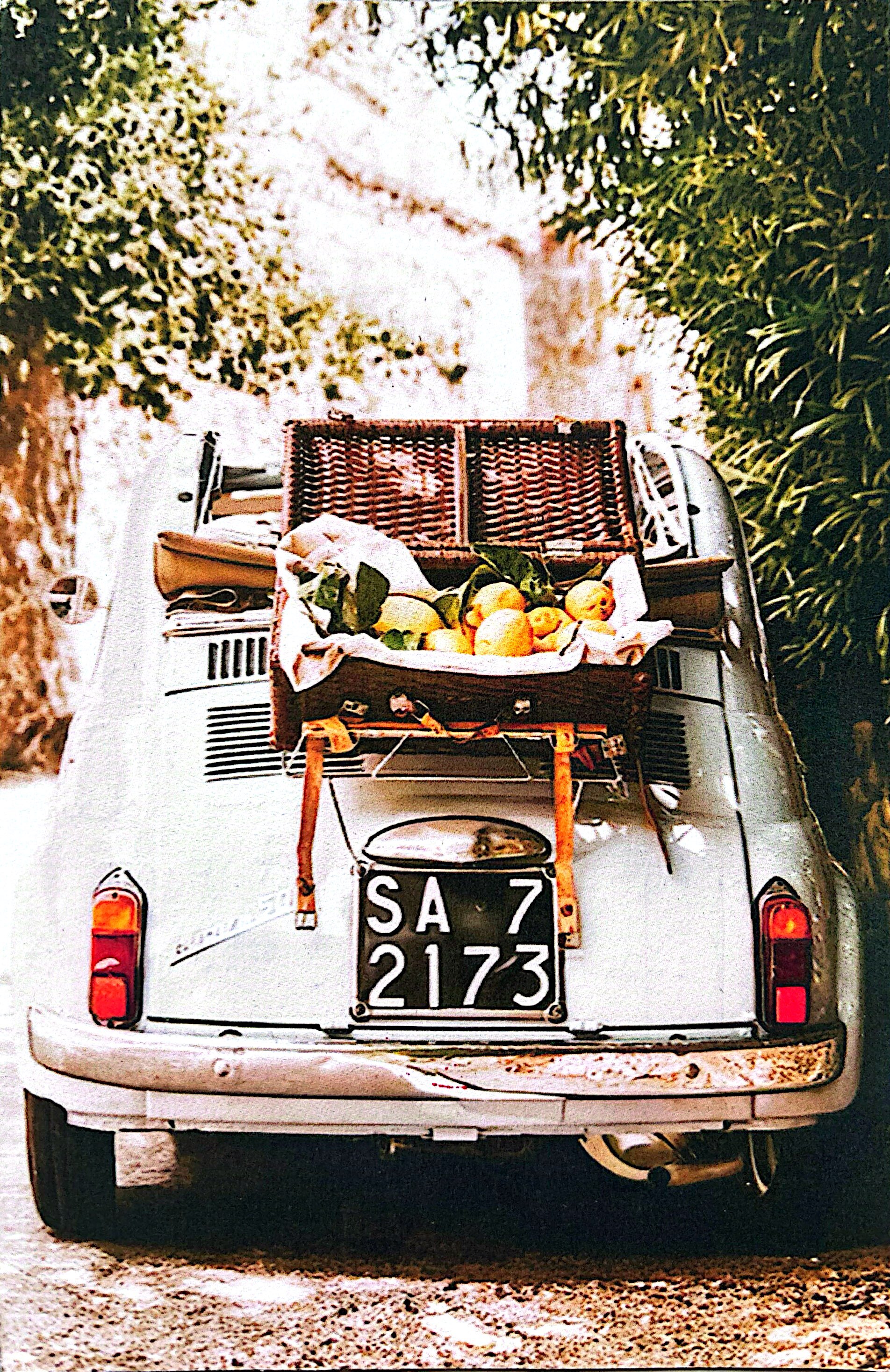 2025-11-6 Italia (1).jpg