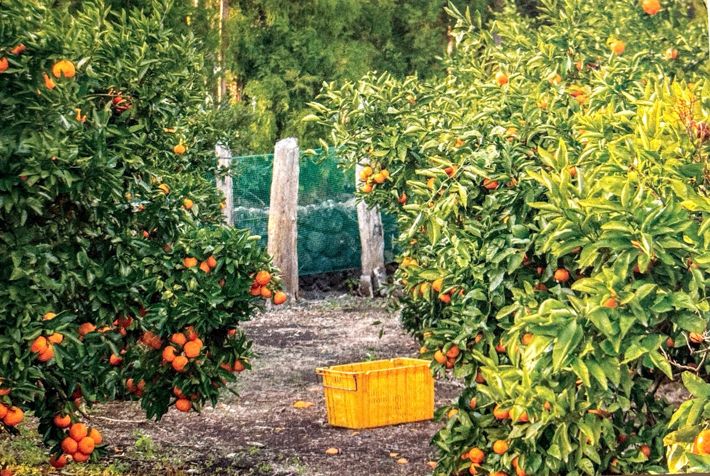 2025-11-6 Korea (3).jpg