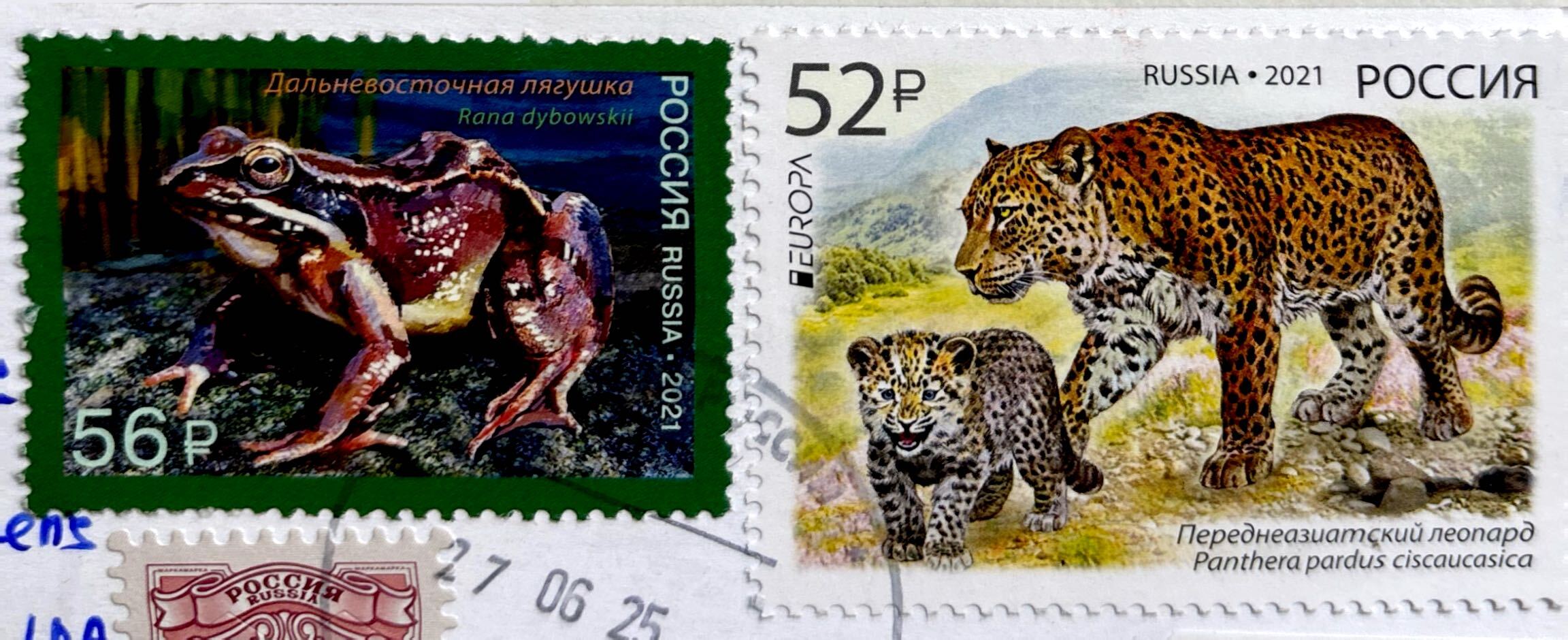 2025-12-10 Russia (3).jpg