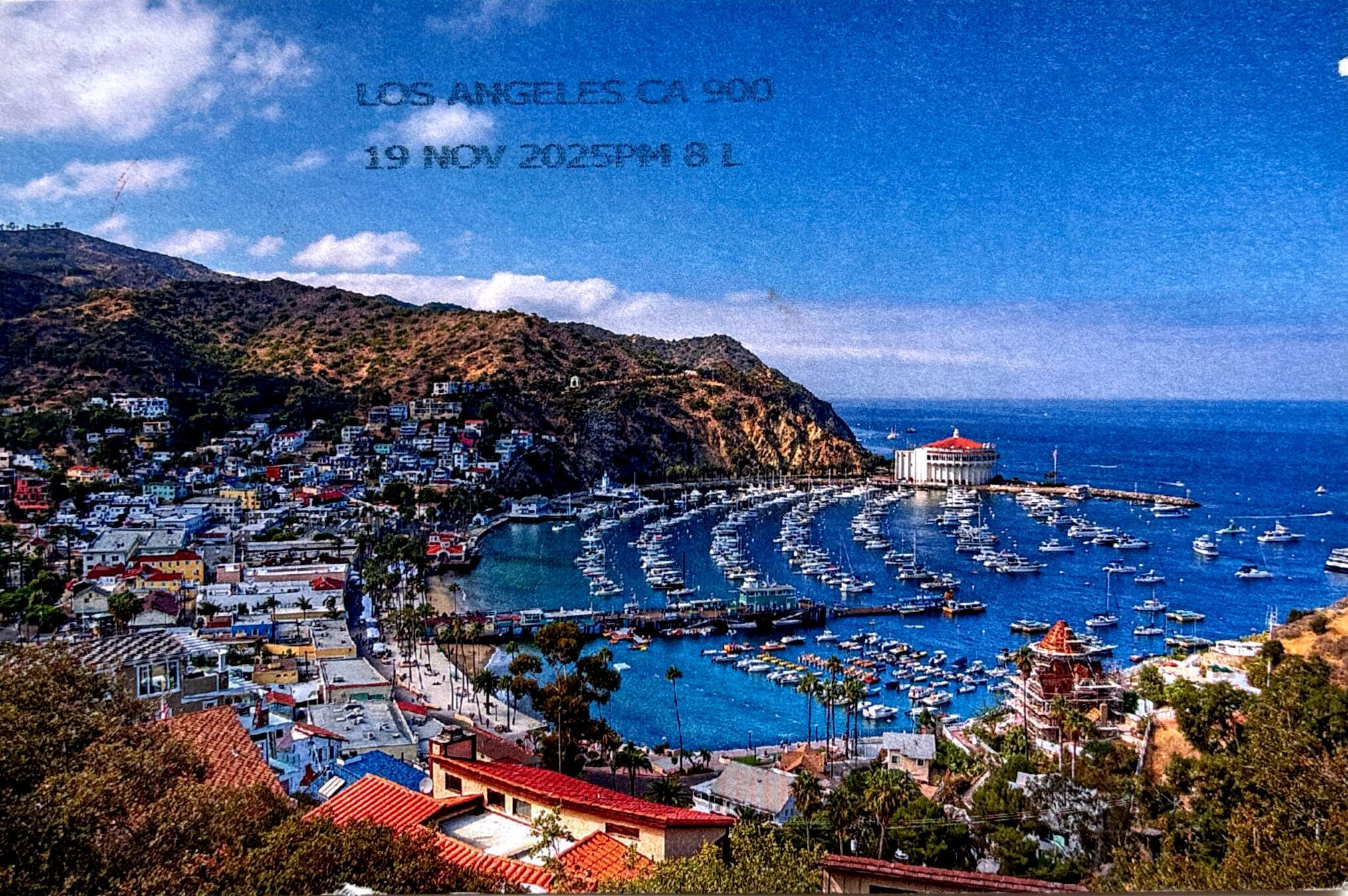 2025-12-10 USA (1).jpg