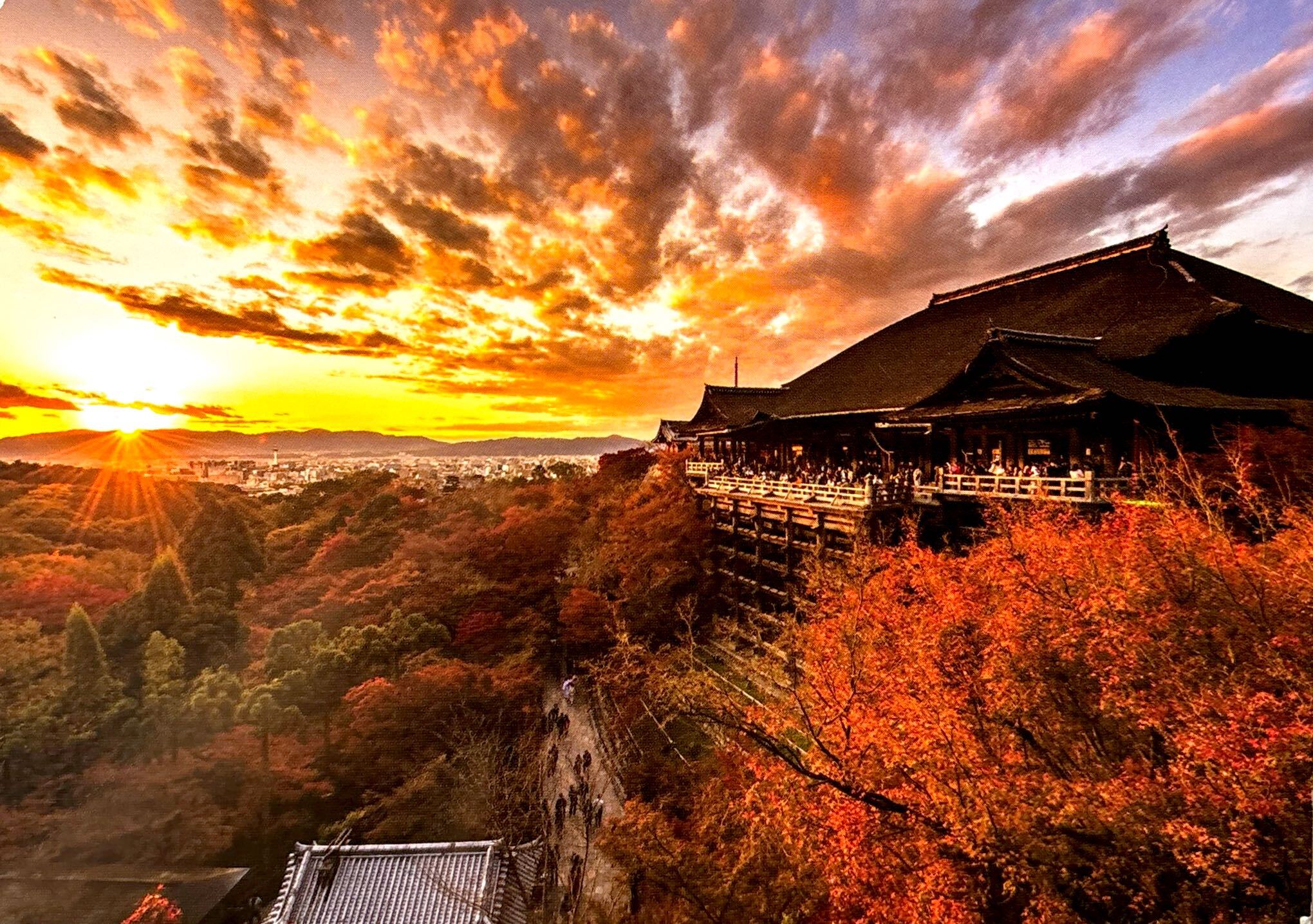 2025-12-21  Japan (4).jpg